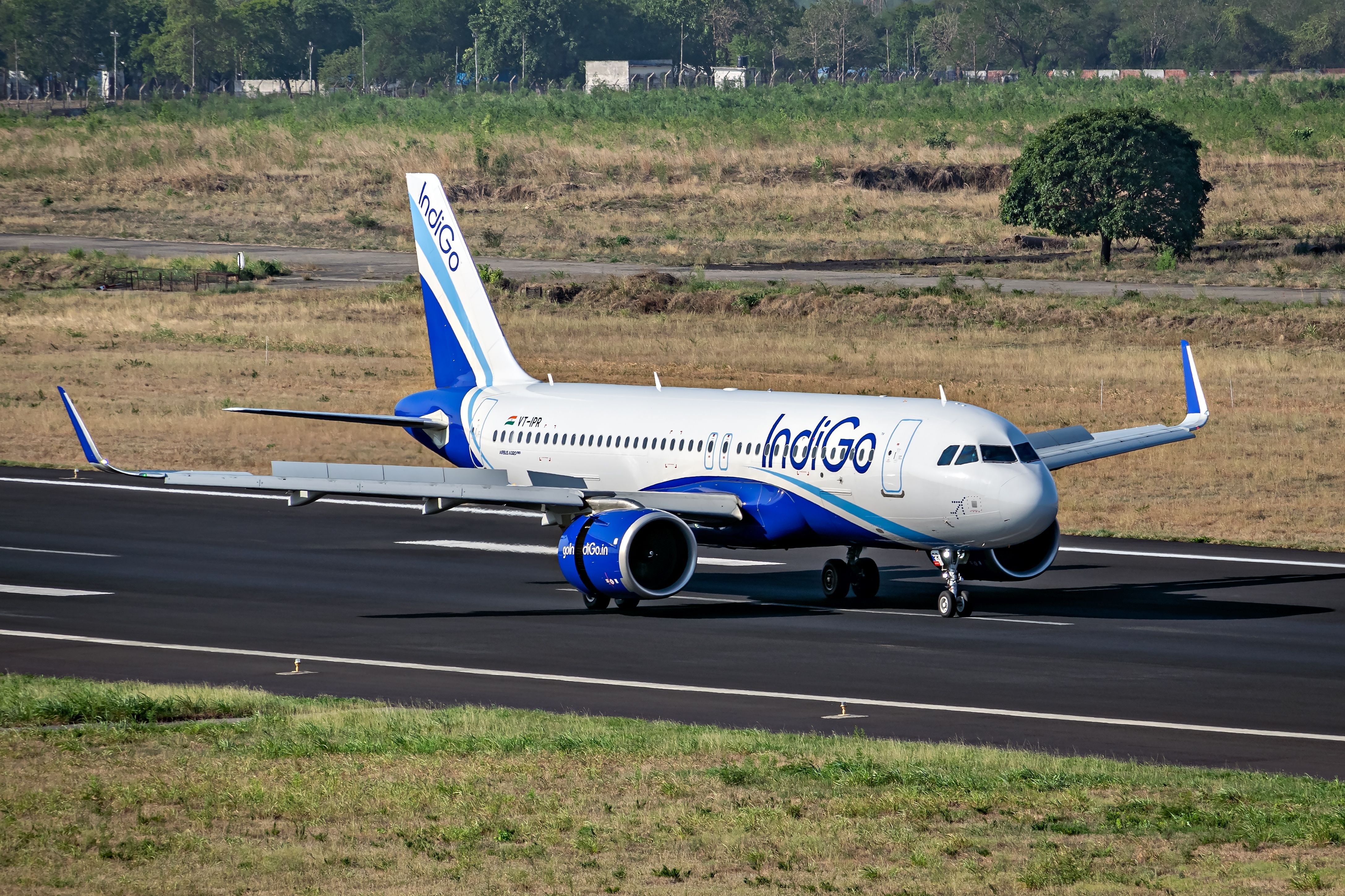 IndiGo Airbus A320
