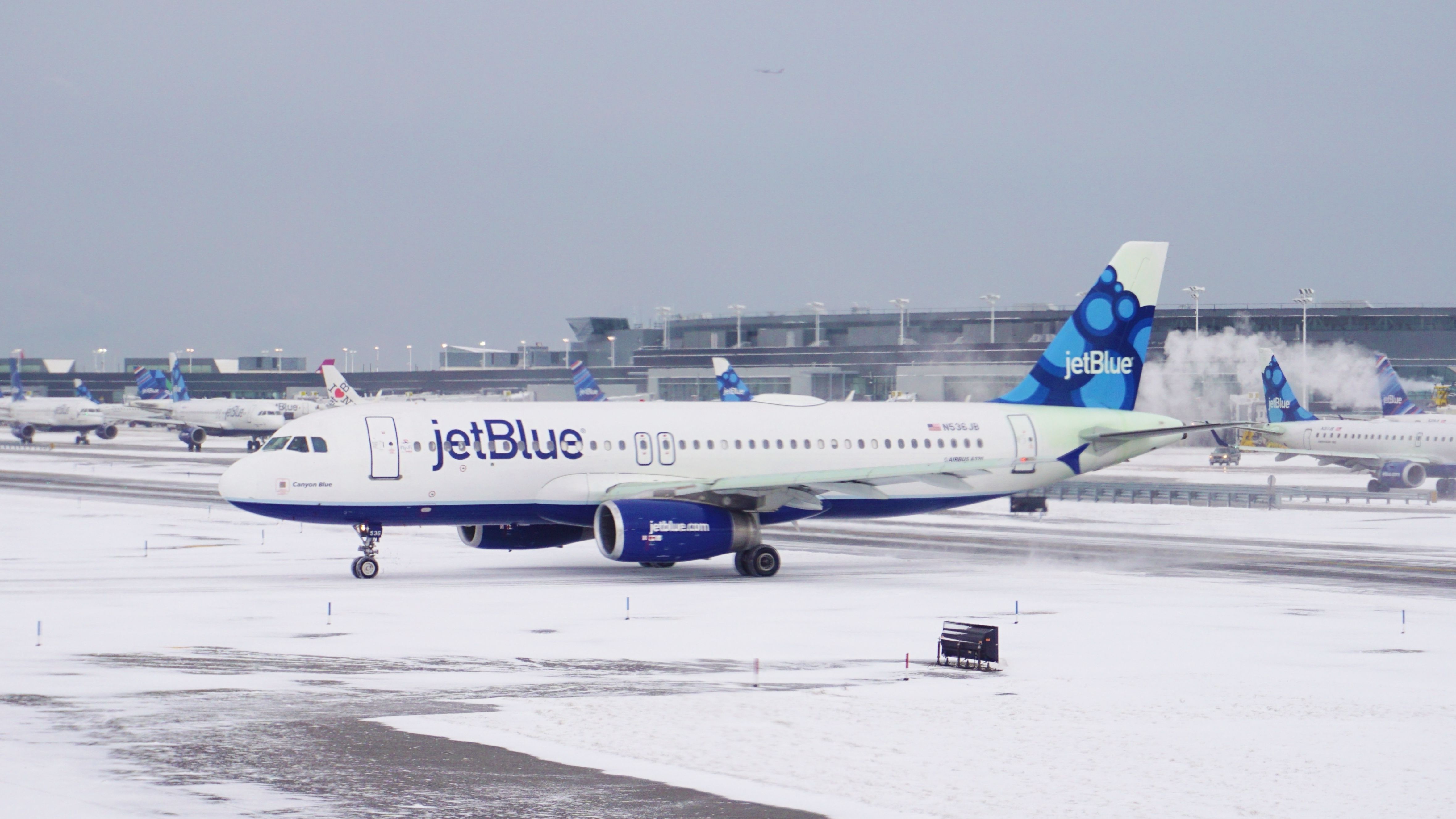Jetblue Vacation? Score Huge Savings With Costco Gift Cards! - wtwkbef