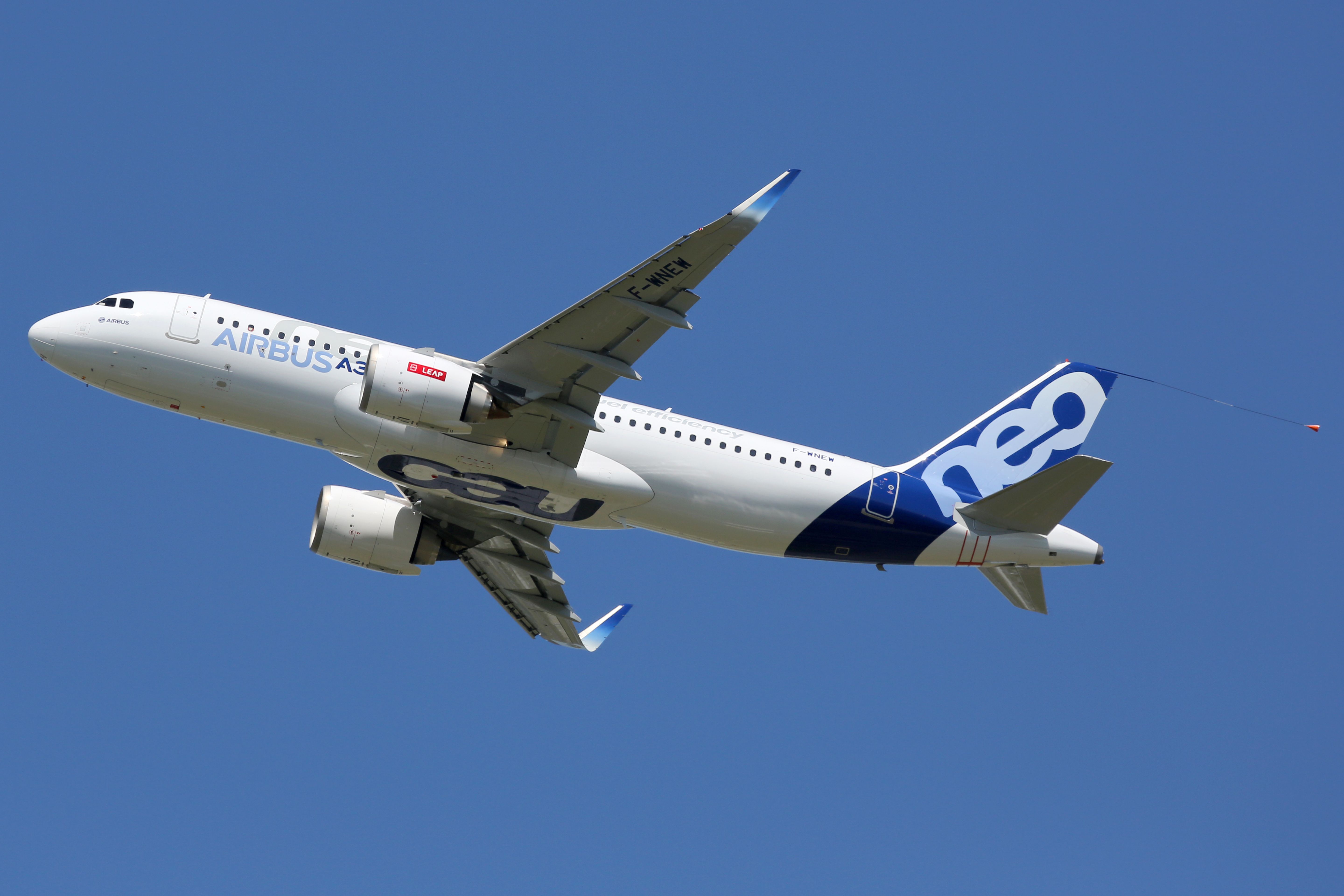 An Airbus A320 in house livery flying in the sky.