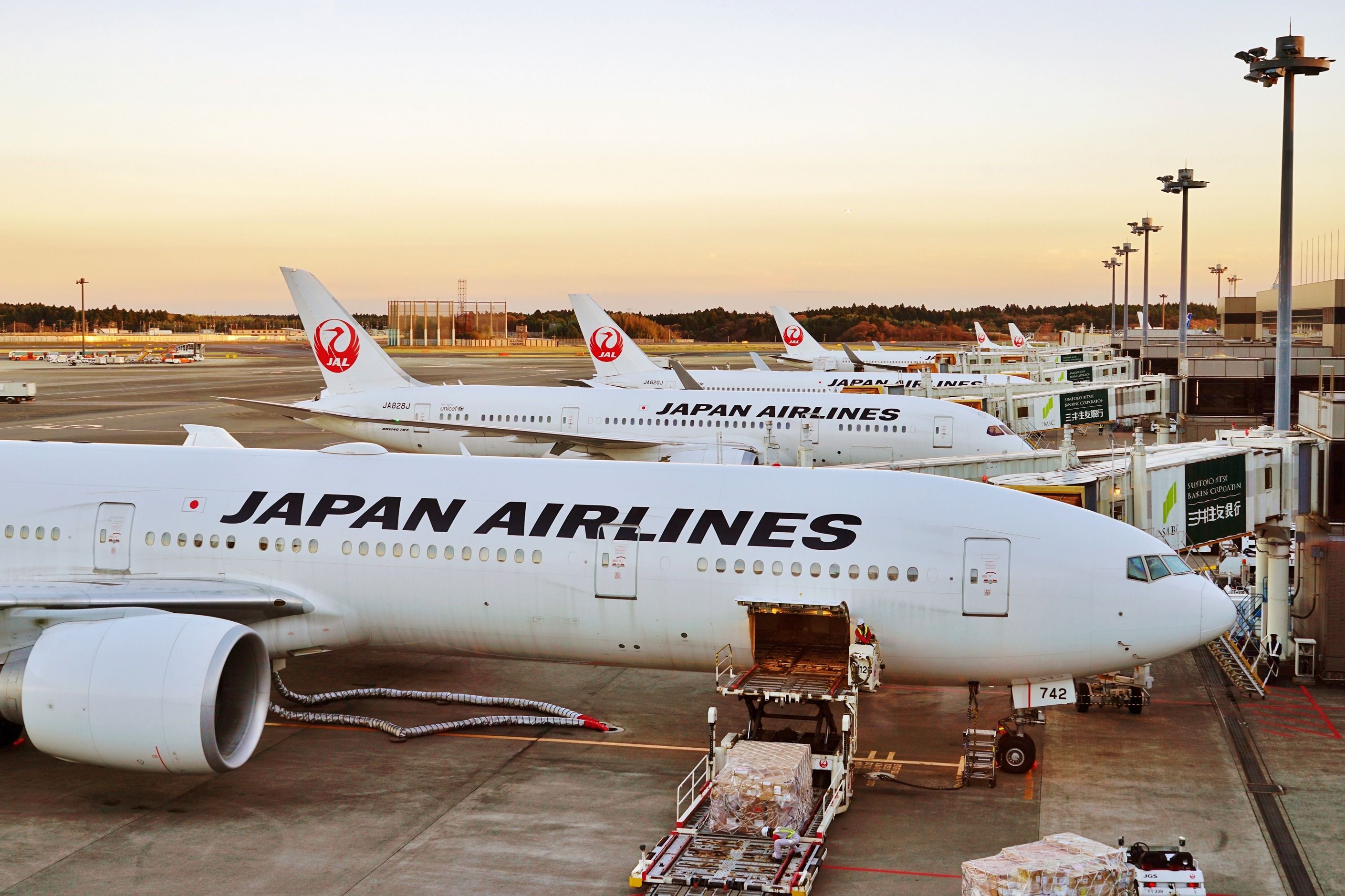 Japan Airlines aircraft at the gates