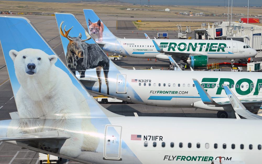 Several Frontier Airlines Aircraft Parked at gates at Denver International Airport.