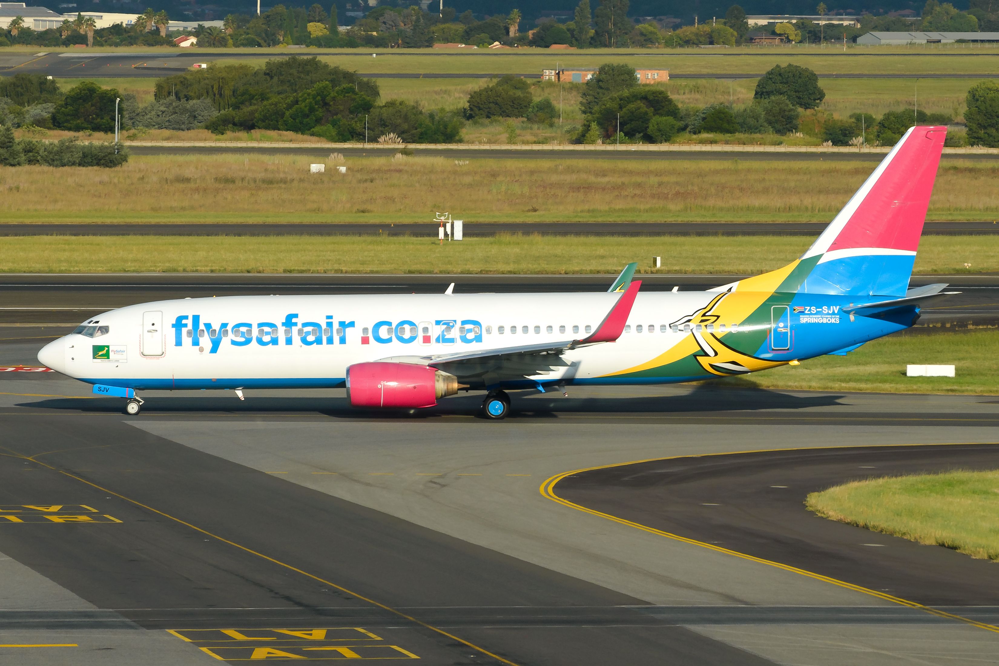 FlySafair Boeing 737 with Springboks livery