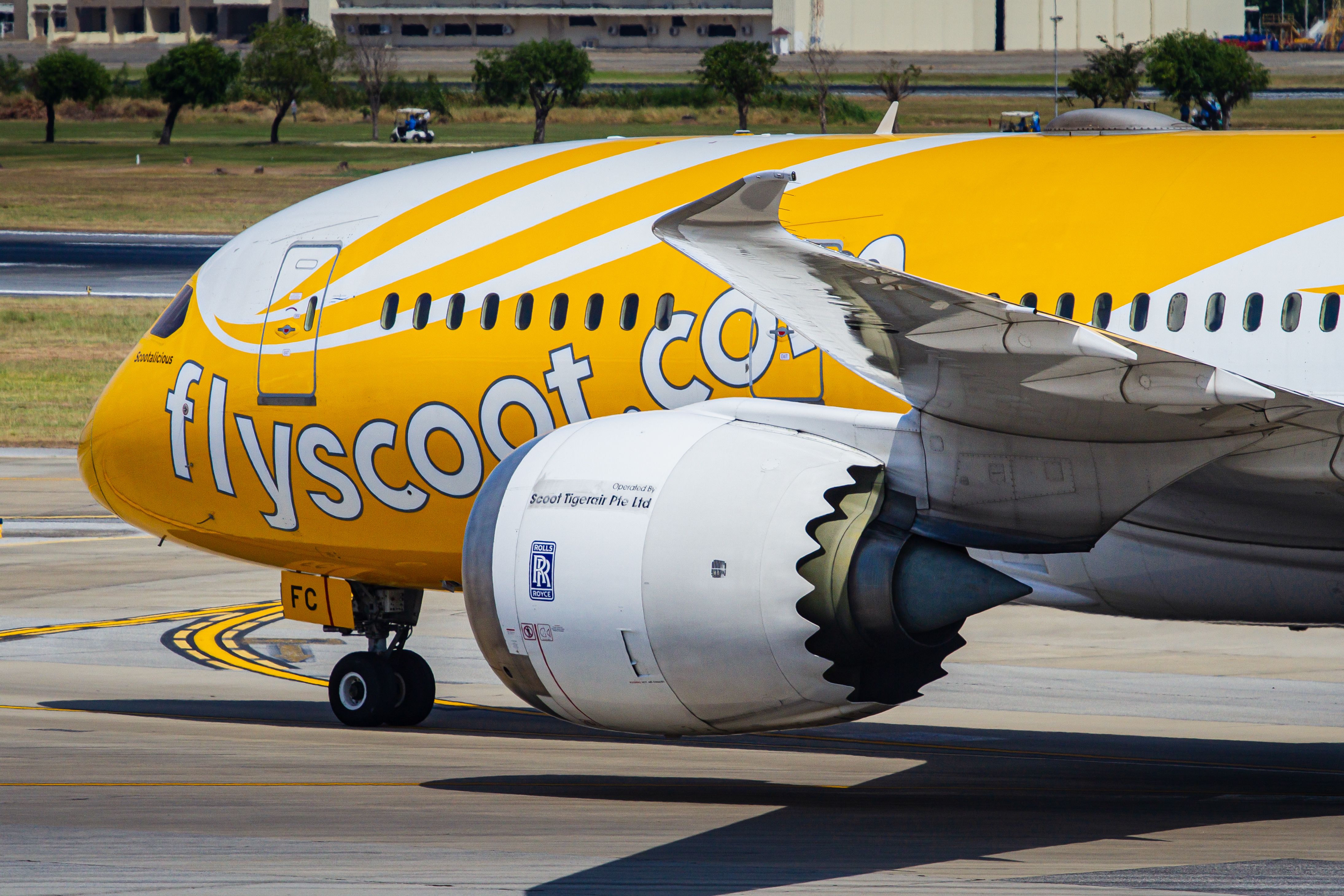 Scoot Boeing 787-8