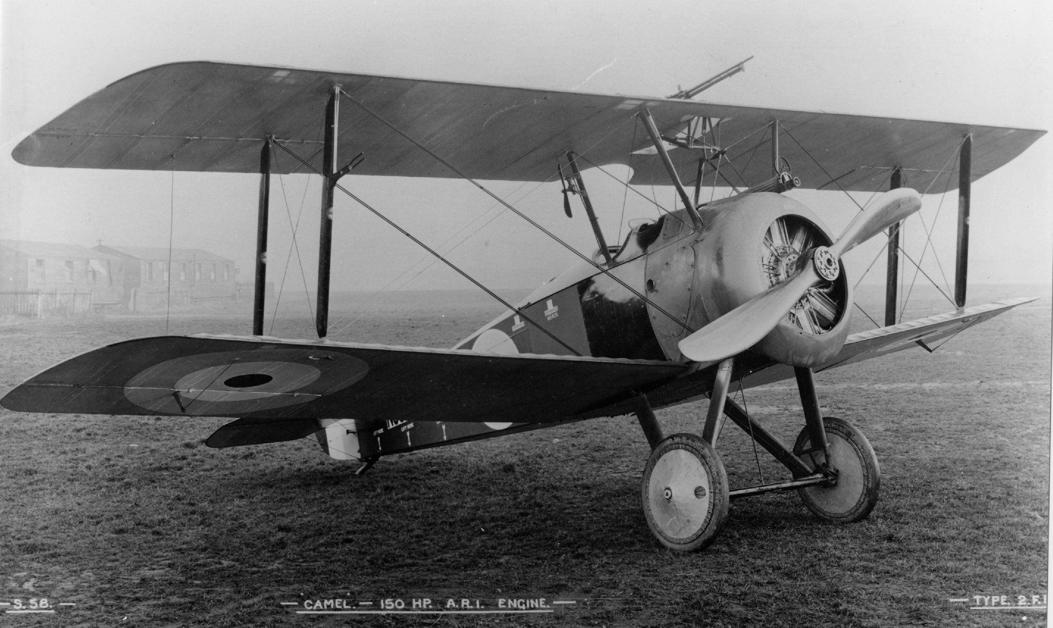 British Biplane: The Story Of The Sopwith Camel