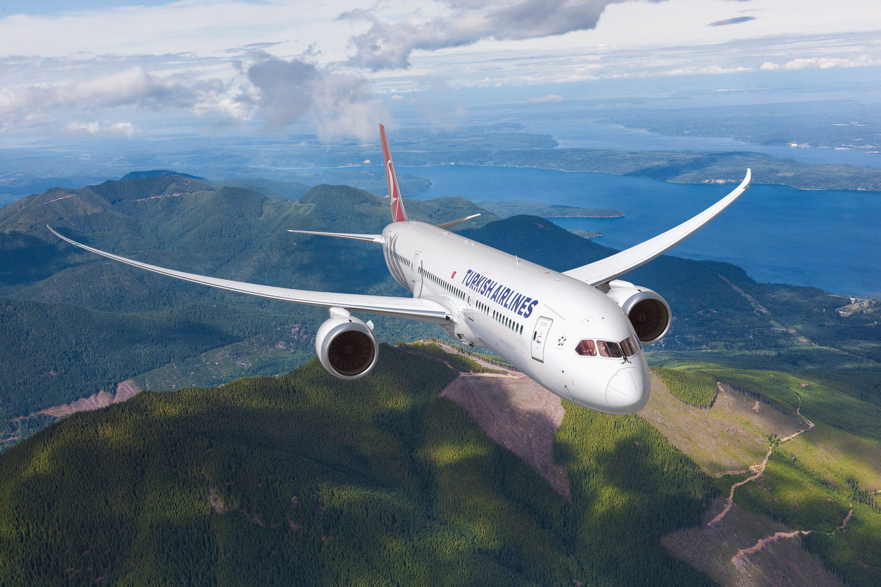 Turkish Airlines Boeing 787-9 in-flight rendering