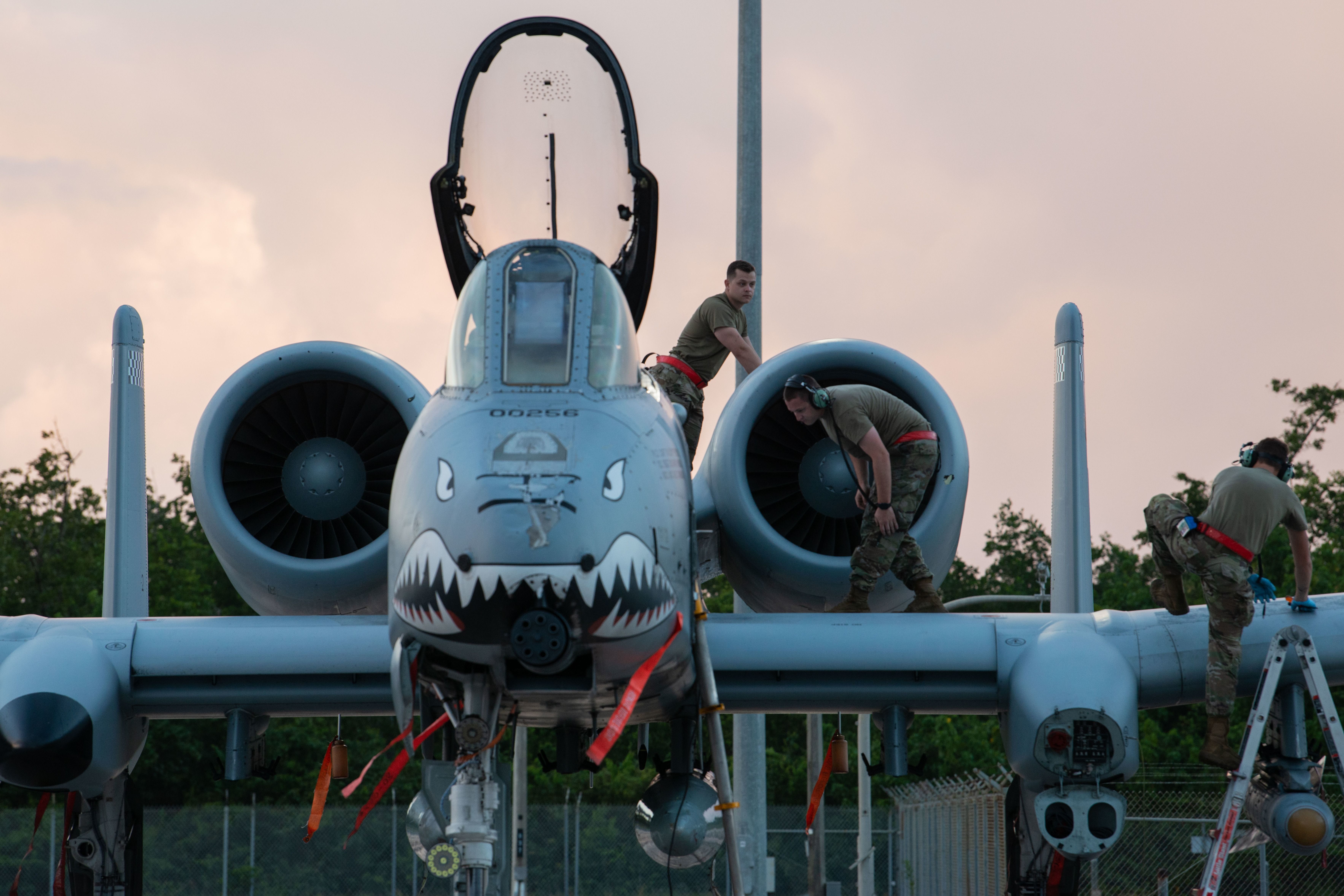 A-10 Thunderbolt II ("Warthog") displaying the time-honored shark mouth