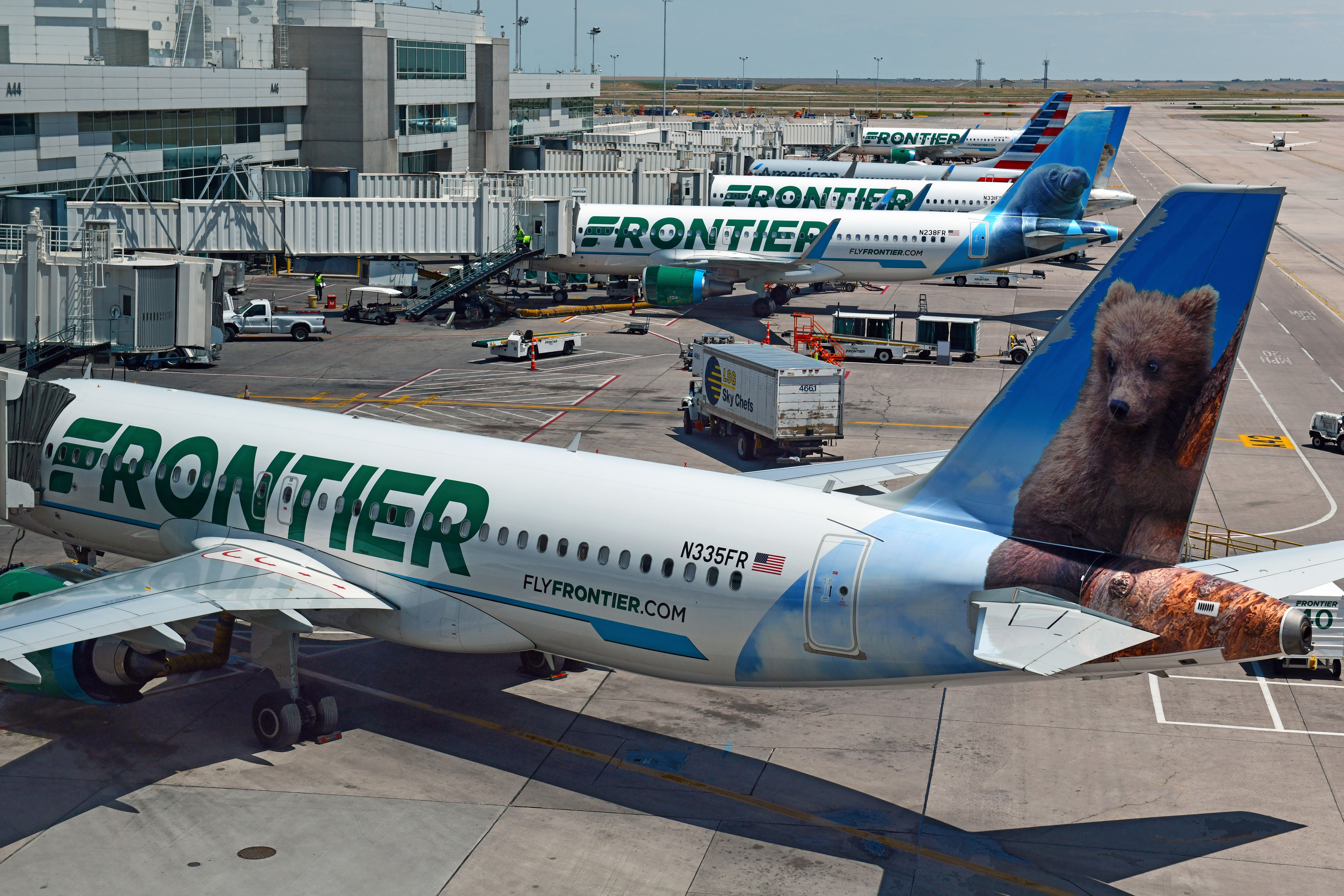 Several Frontier Airlines aircraft parked at airport gates. 