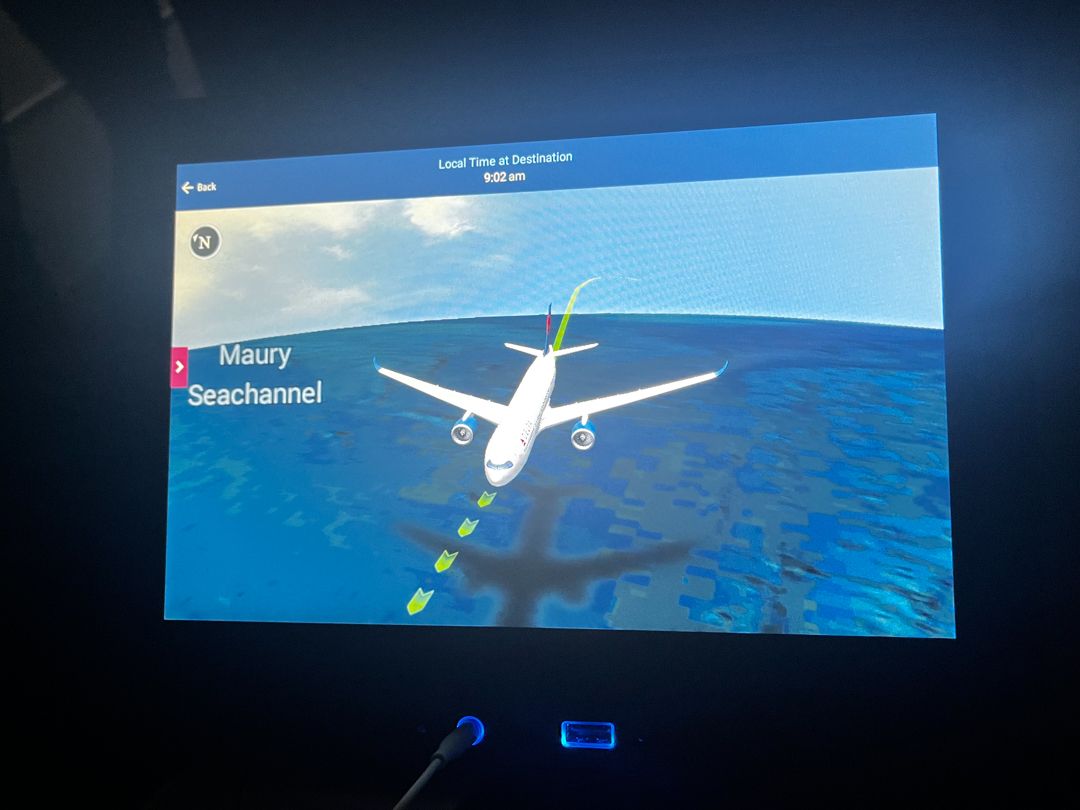 Flight Review: Delta Air Lines Airbus A330neo Economy Class From Paris ...