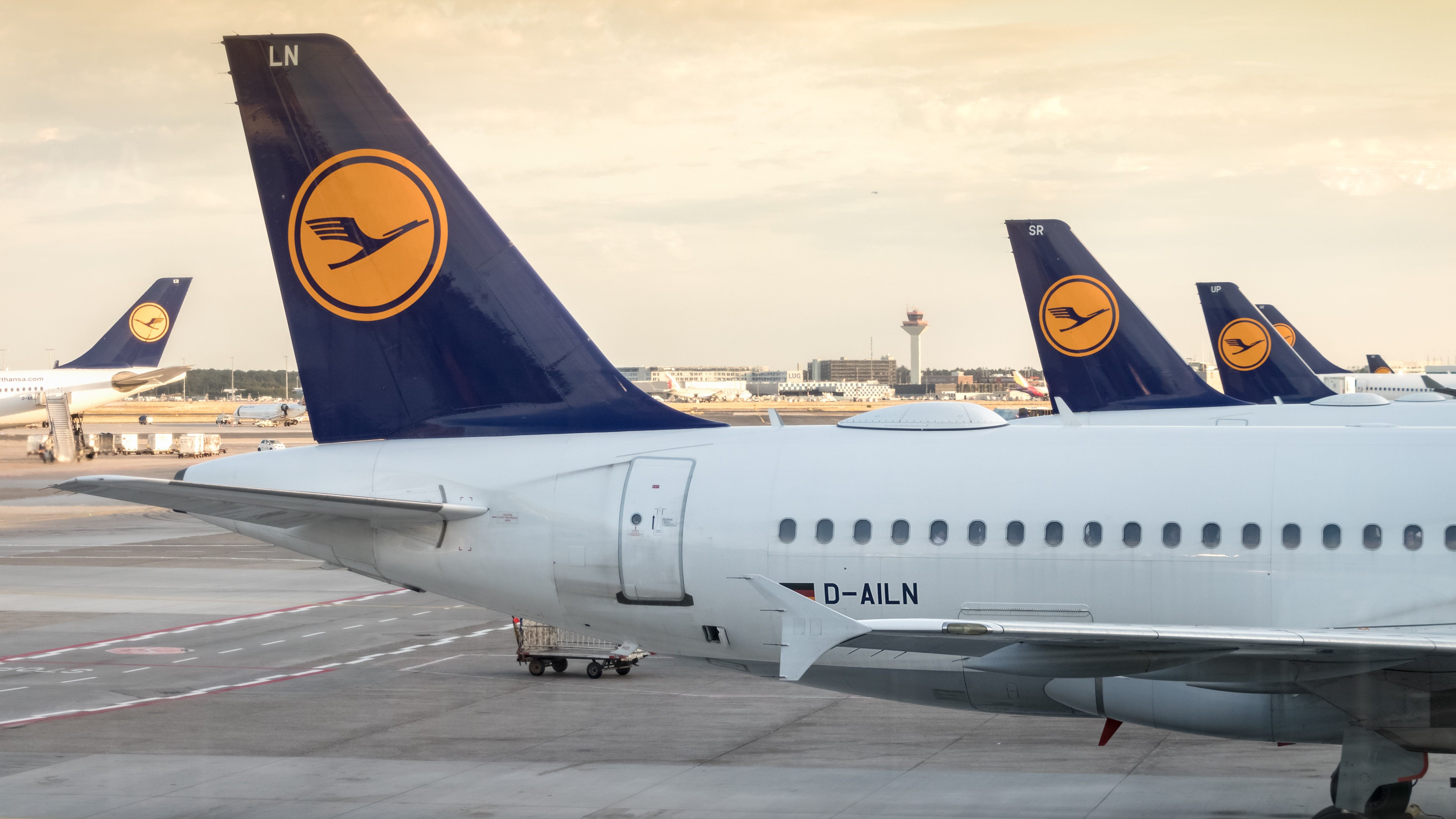 Lufthansa Tails At Frankfurt Airport