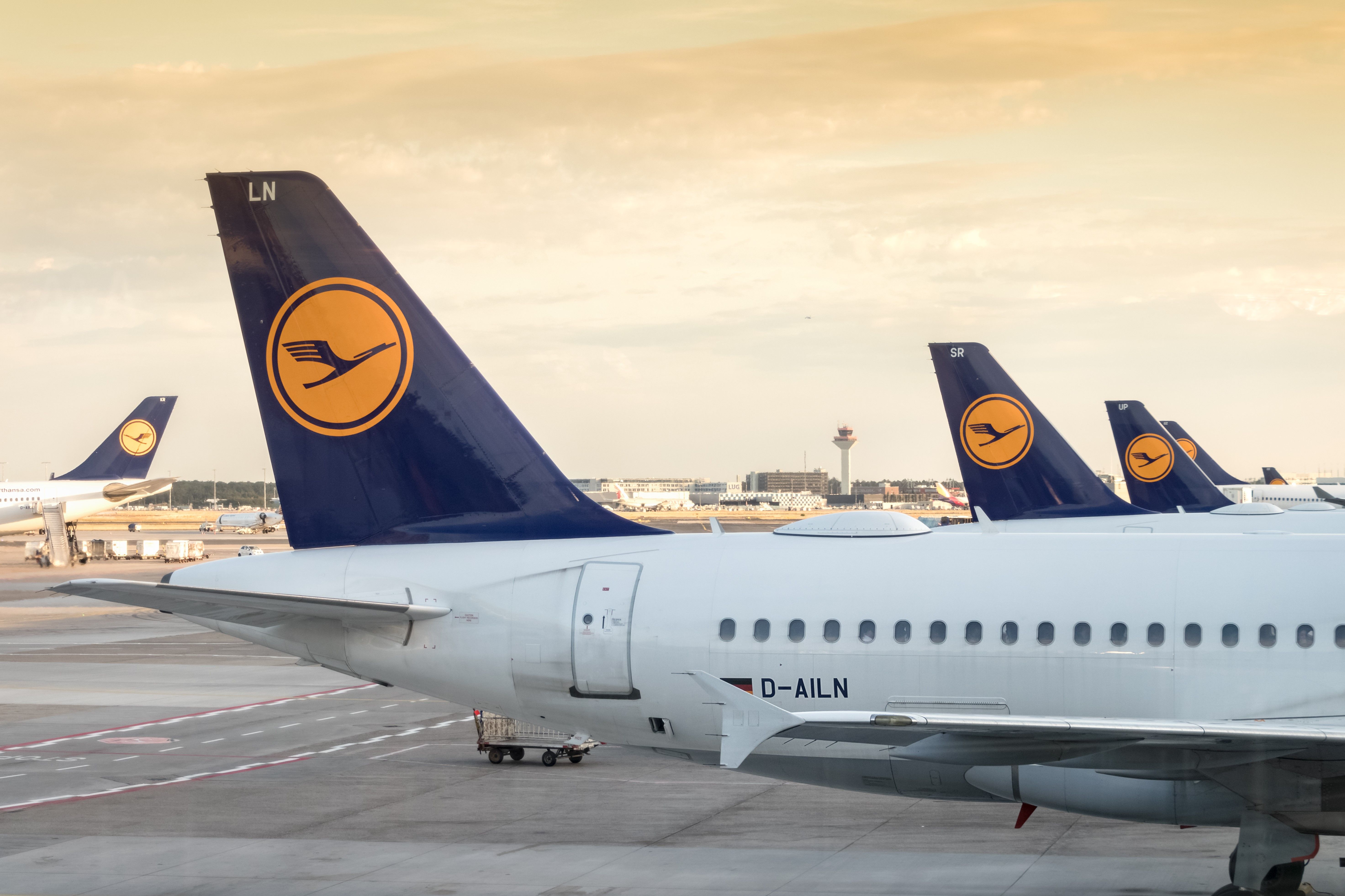 Lufthansa Tails At Frankfurt Airport
