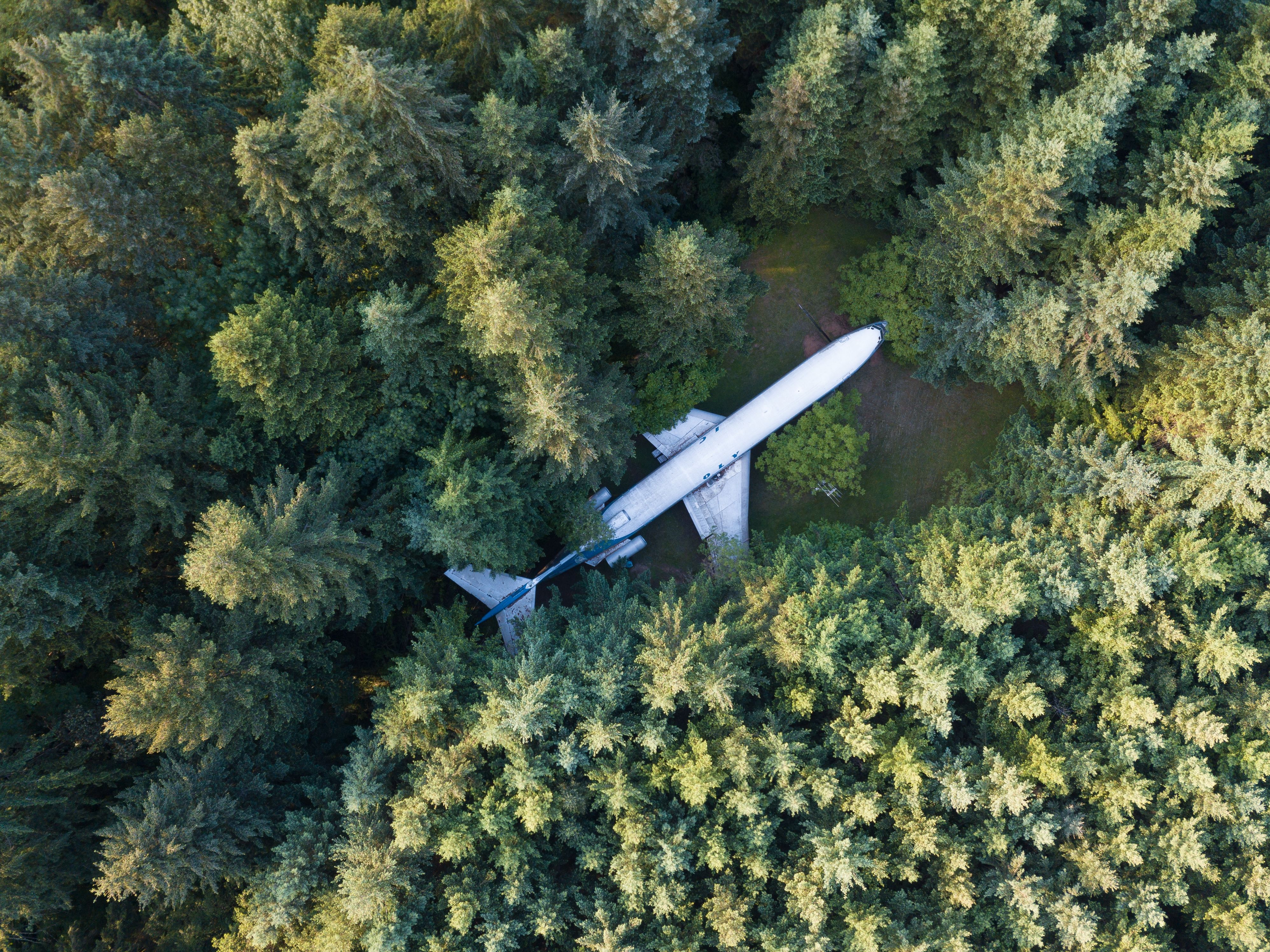 A Boeing 727 in the middle of a forest.