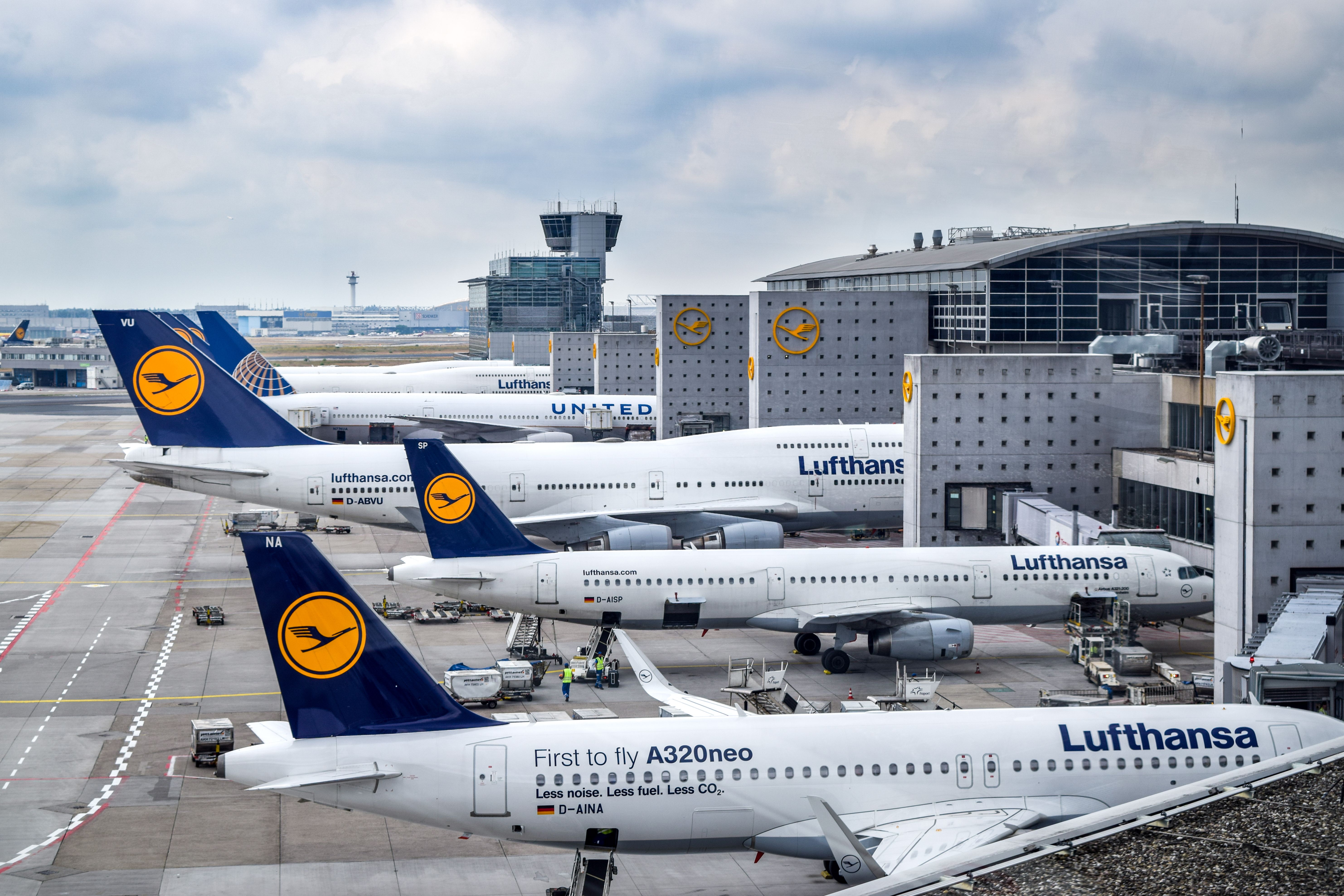 Lufthansa planes at Frankfurt