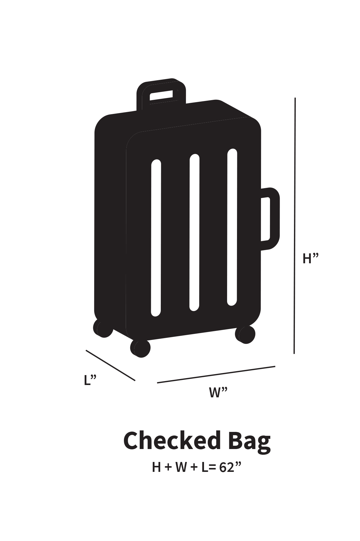 Spirit Airlines checked bag