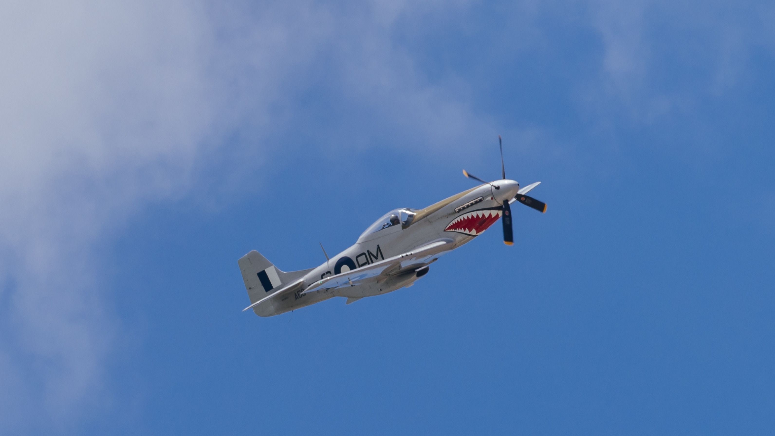 An RAAF P-51 Mustang flying in the sky.