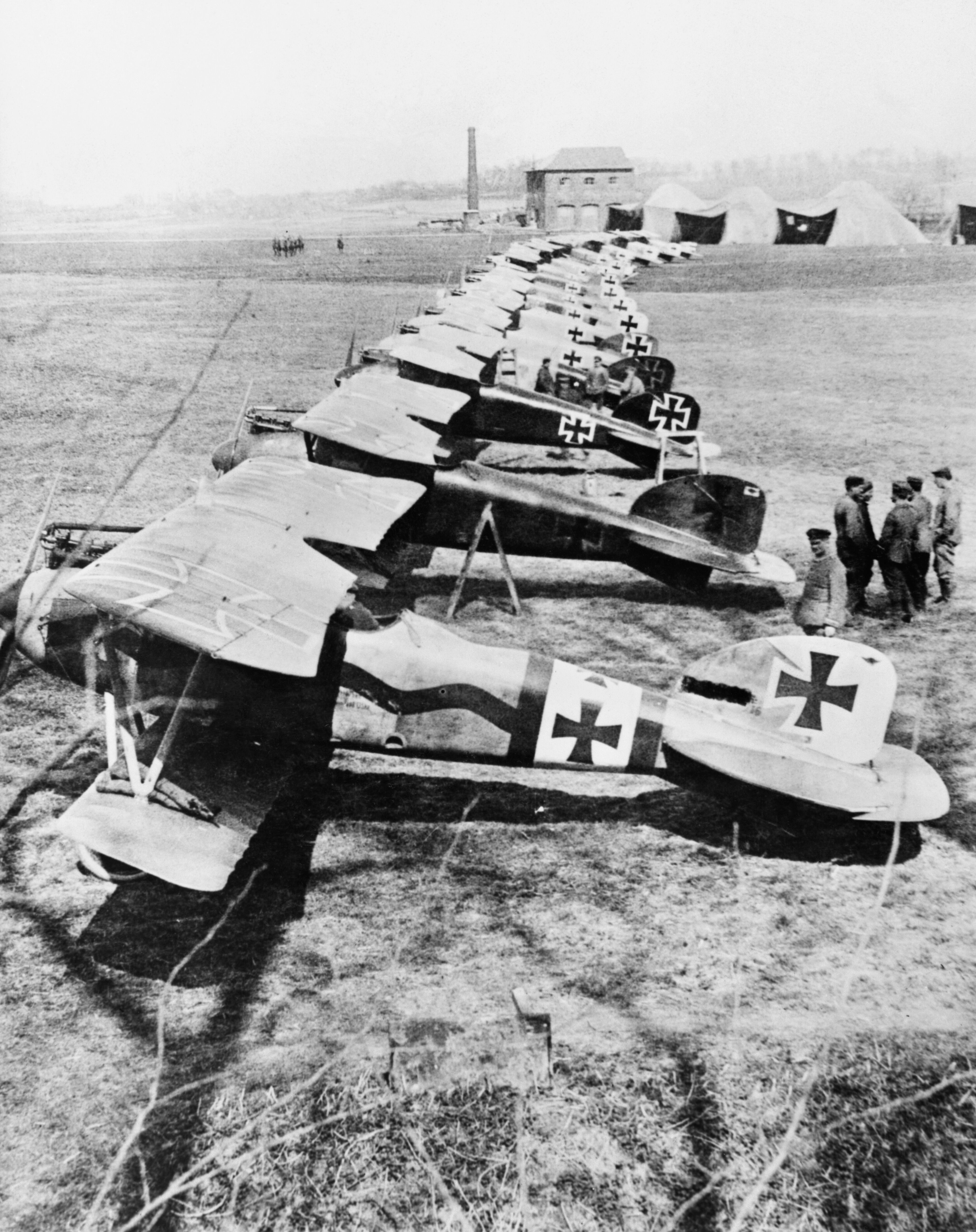 Several Albatros D.IIIs lined up in a field.