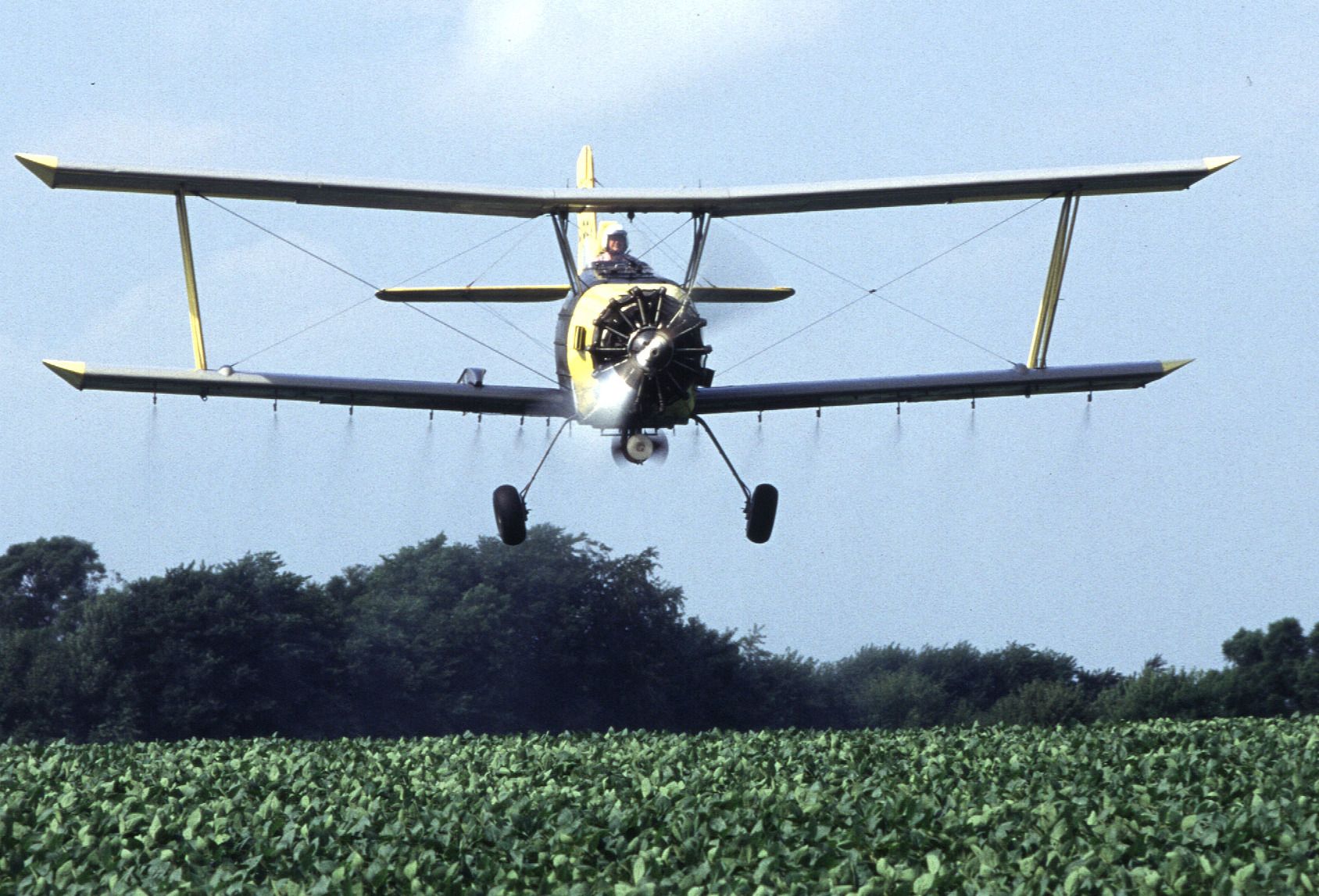 Crop_Duster_(cropped)