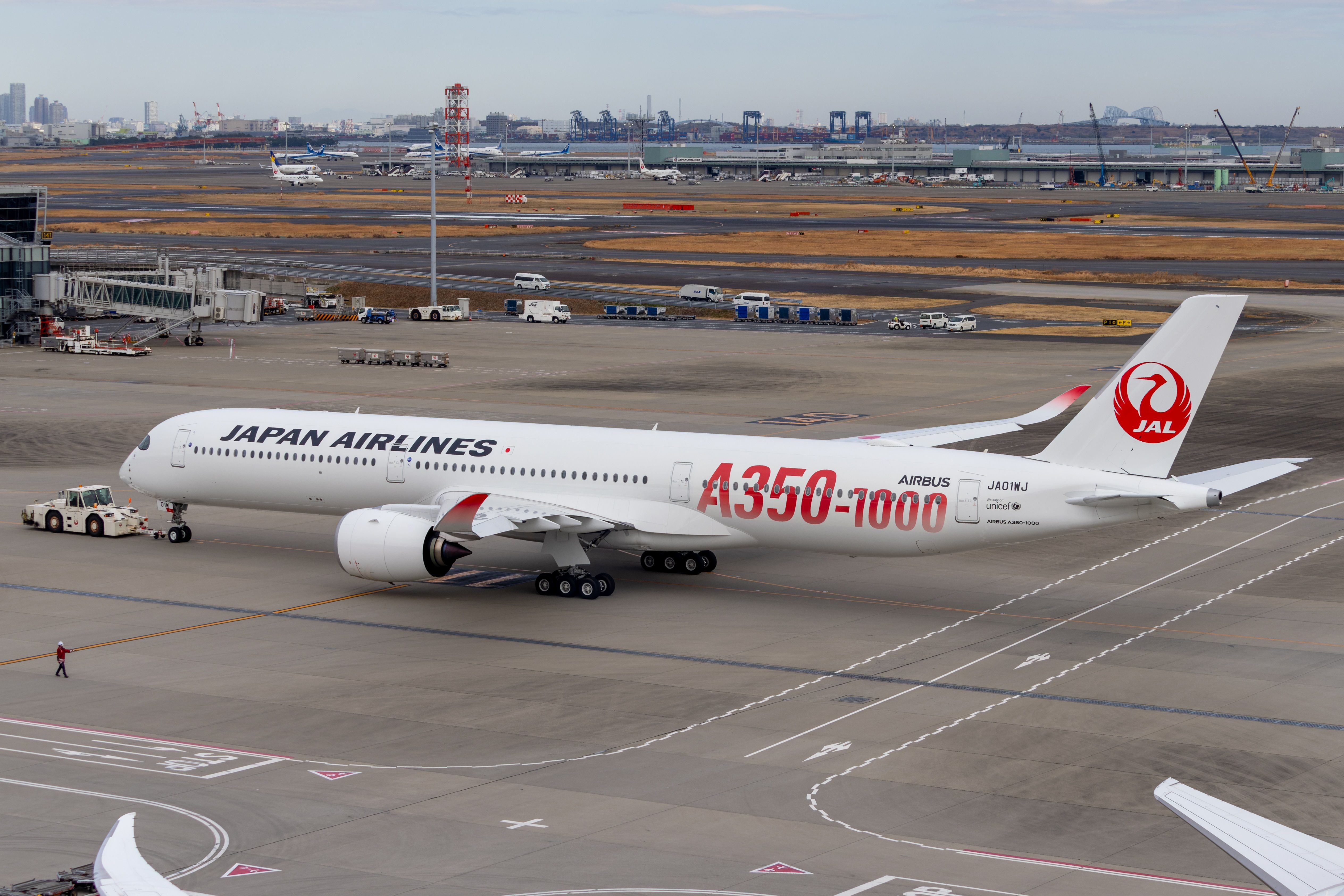JAL A350-1000