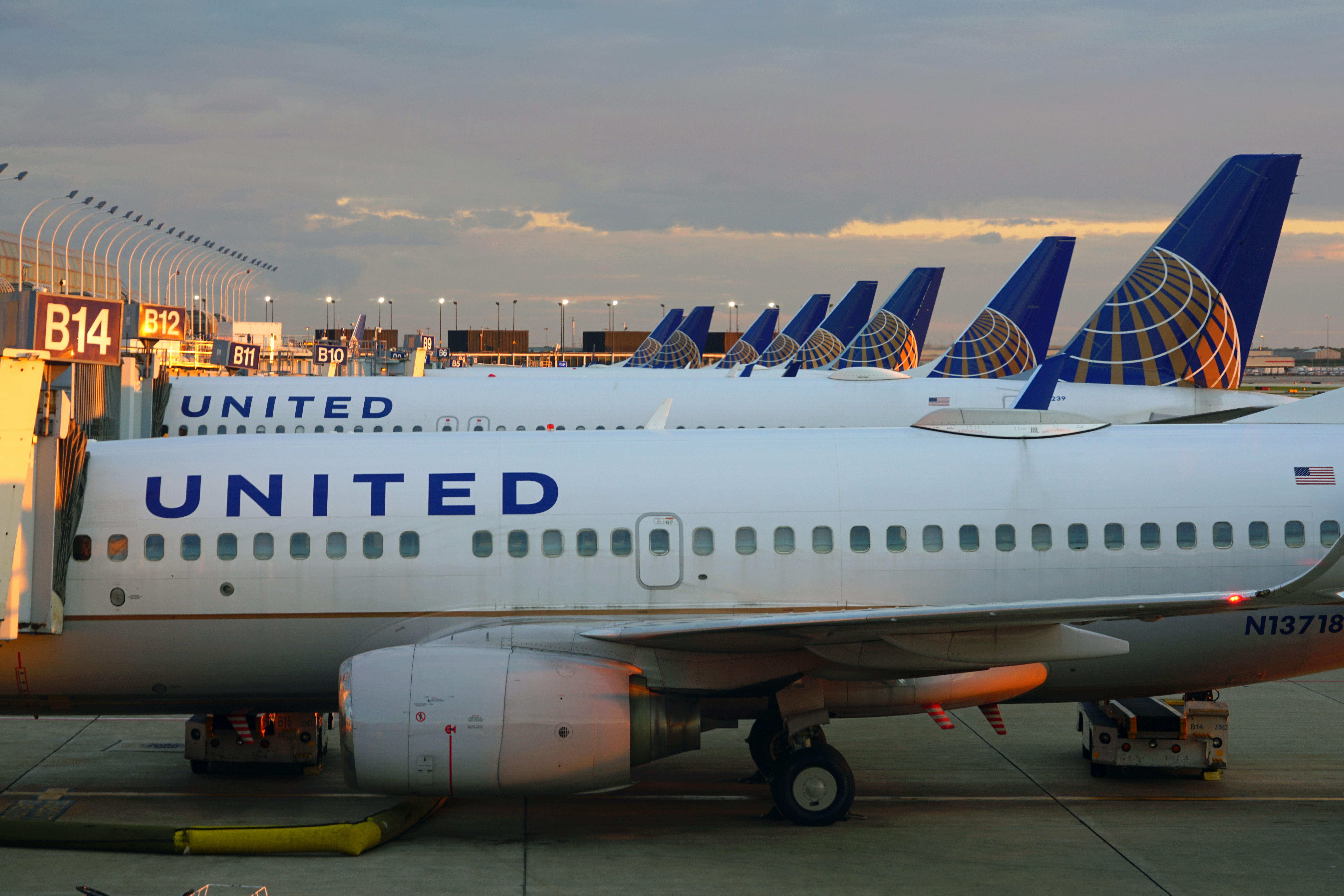 Many United Airlines Aircraft parked side by side.