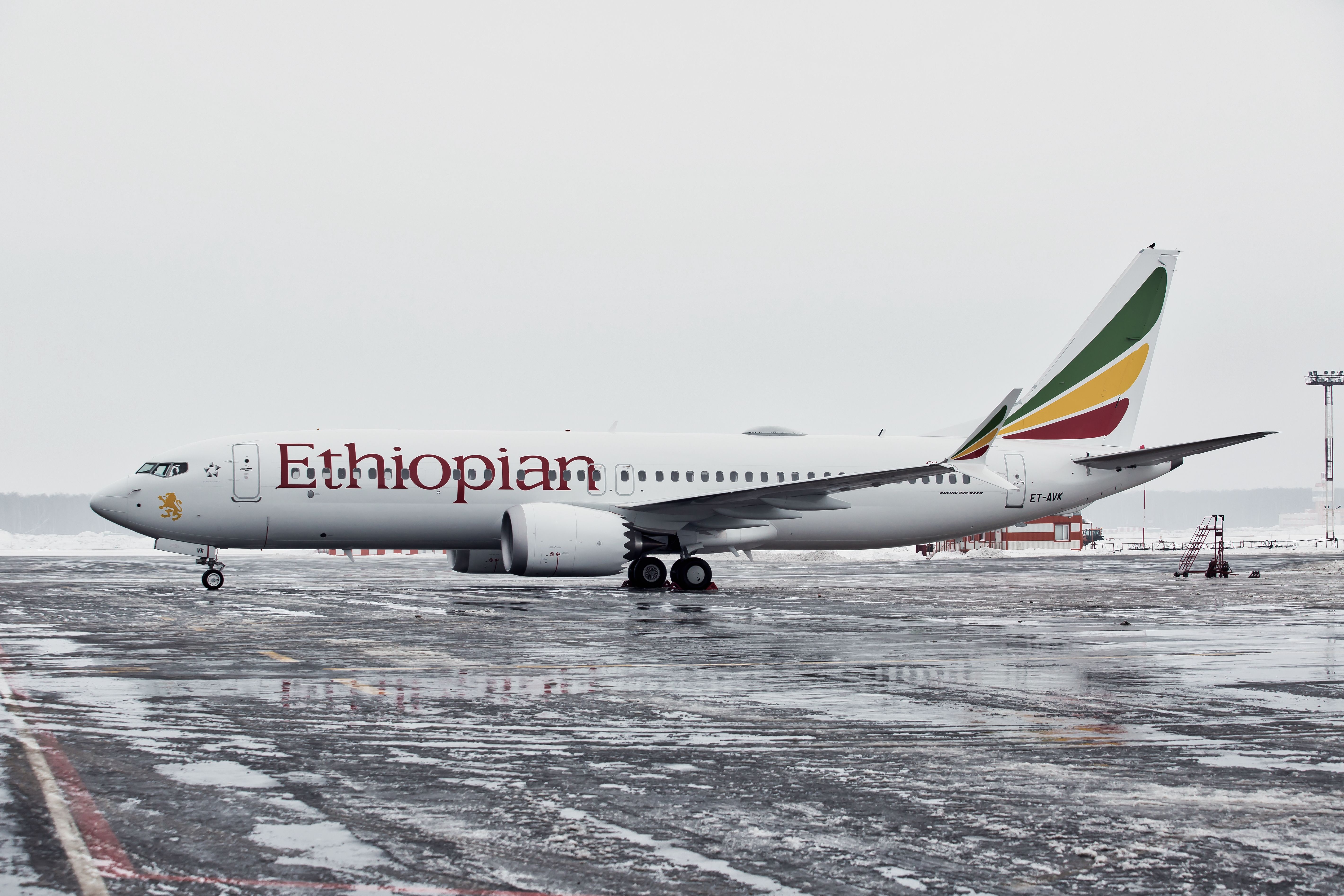 An Ethiopian Airlines Boeing 737 MAX 