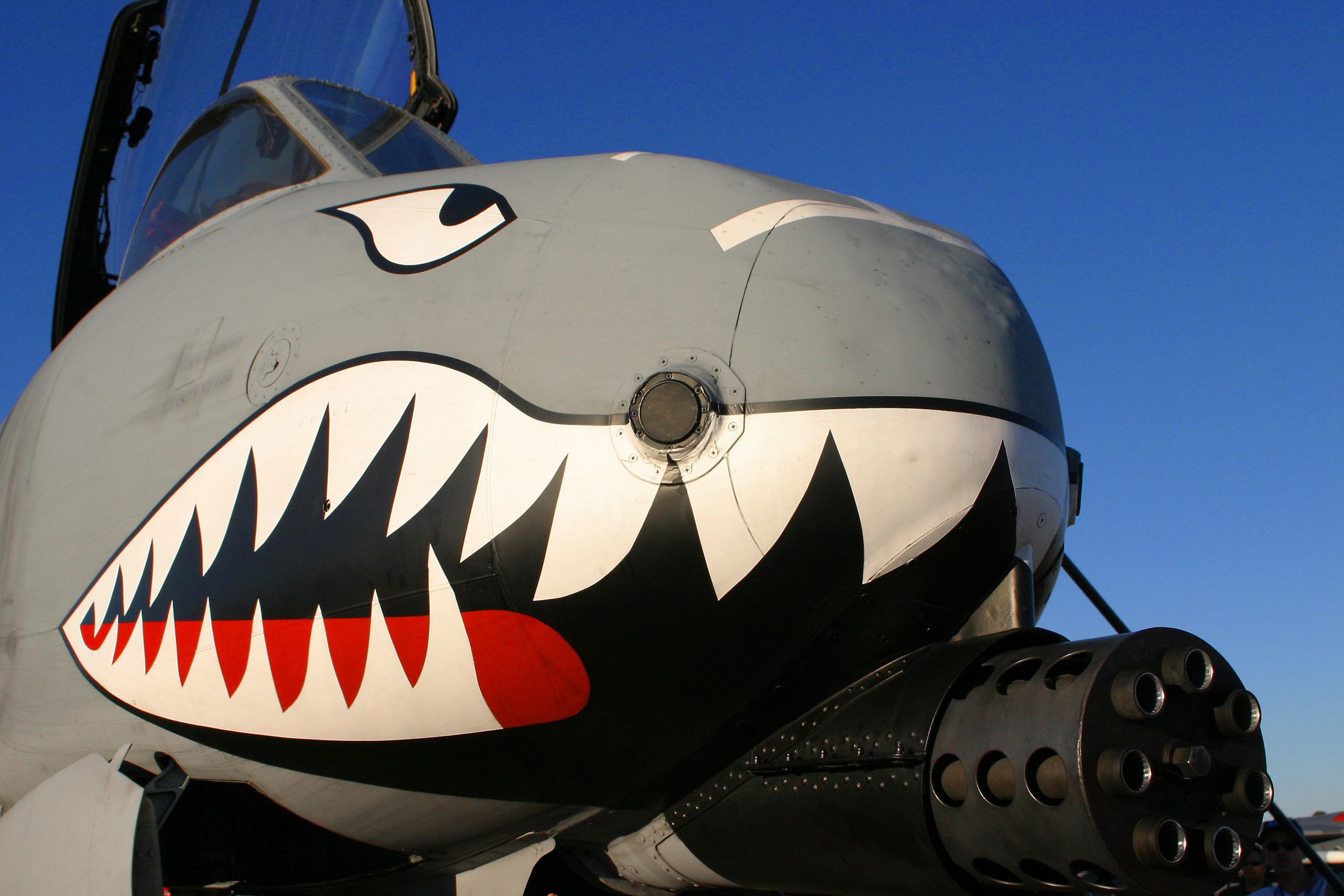 A-10 Warthog with the A-10 Warthog with the time-honored shark mouth decal shark mouth nose art