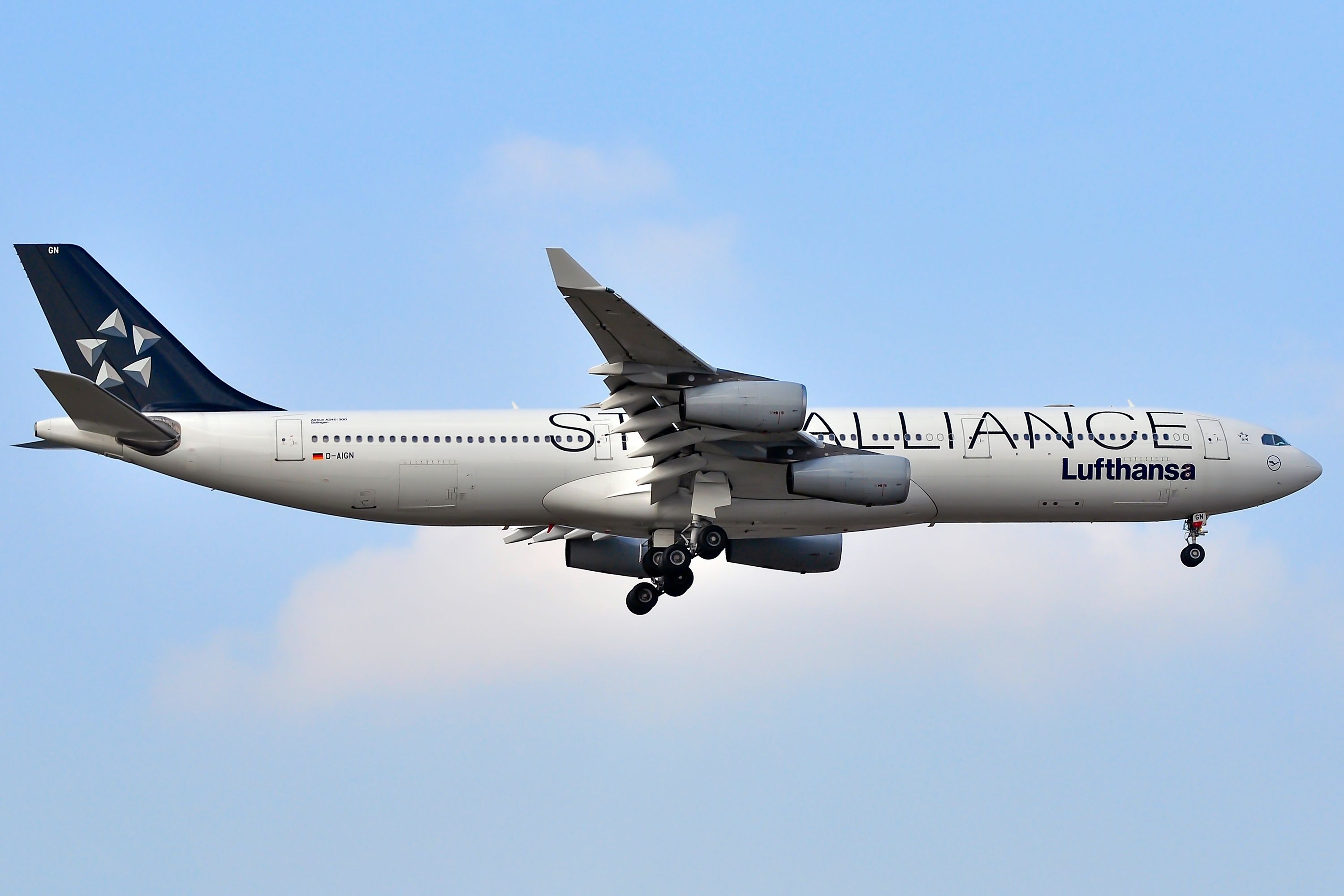 A Lufthansa Airbus A340-200 in Star Alliance Livery flying in the sky.