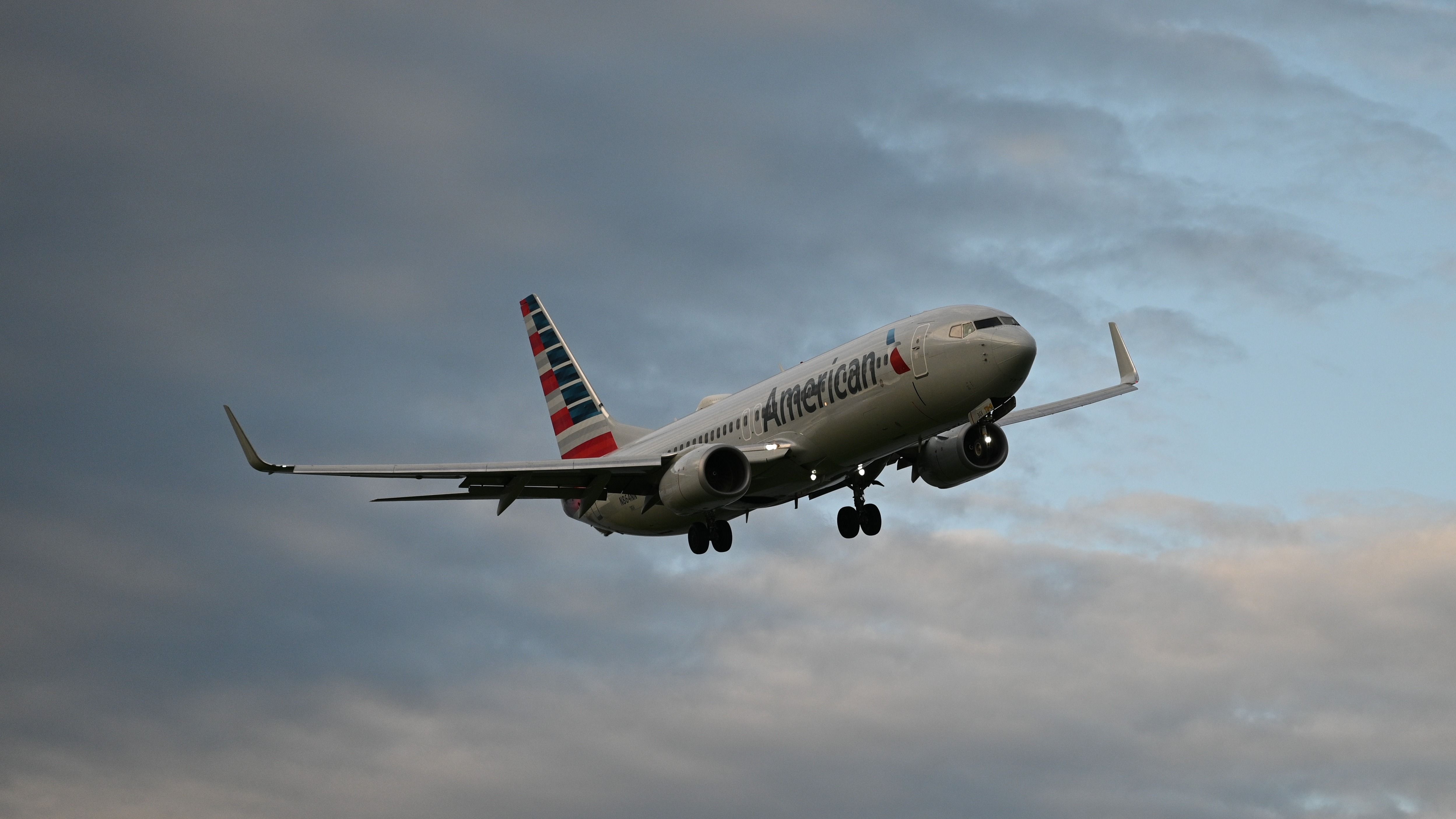 33 Hour Delay: American Airlines Boeing 737-800 Night Bird Strike 