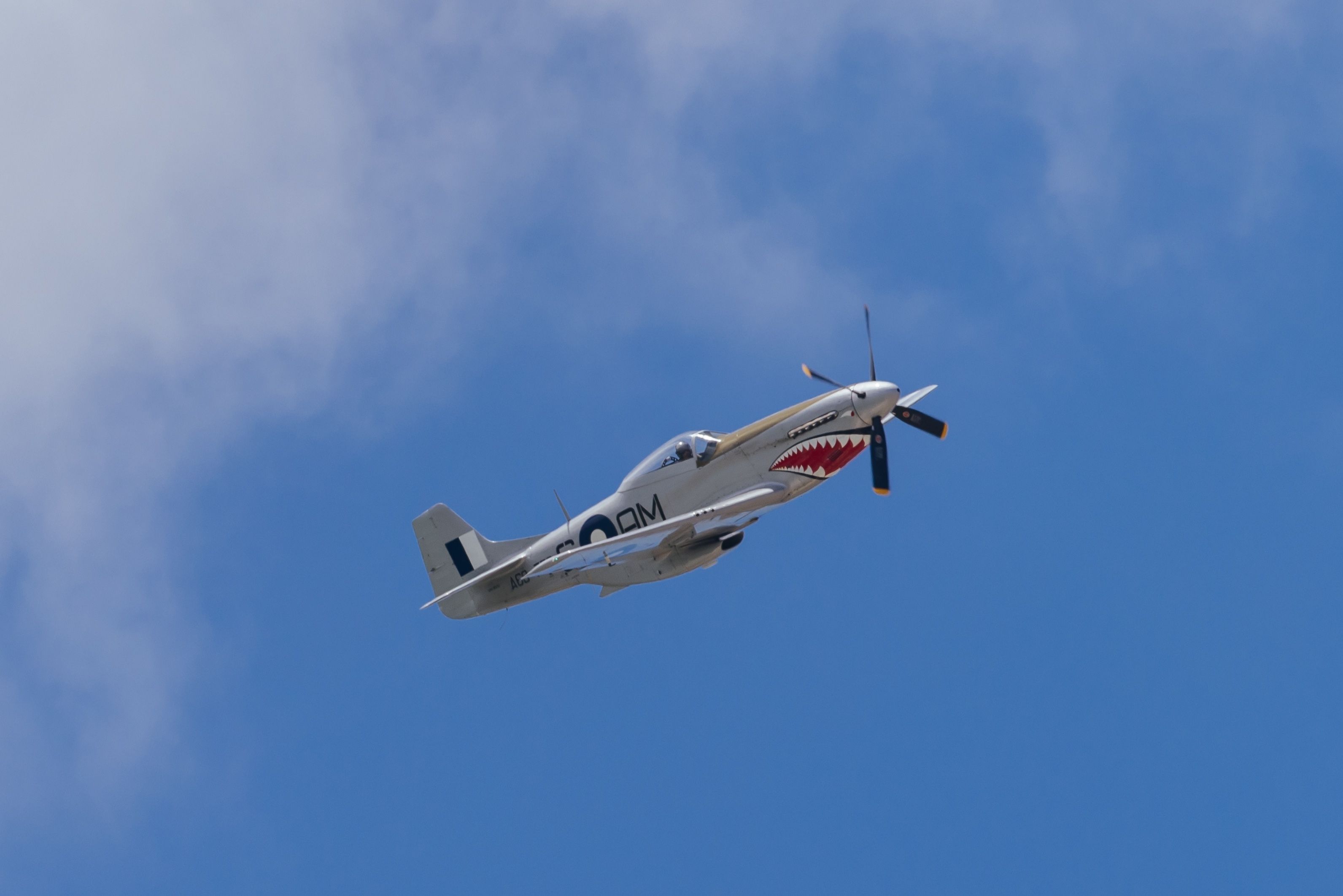 An RAAF P-51 Mustang flying in the sky.