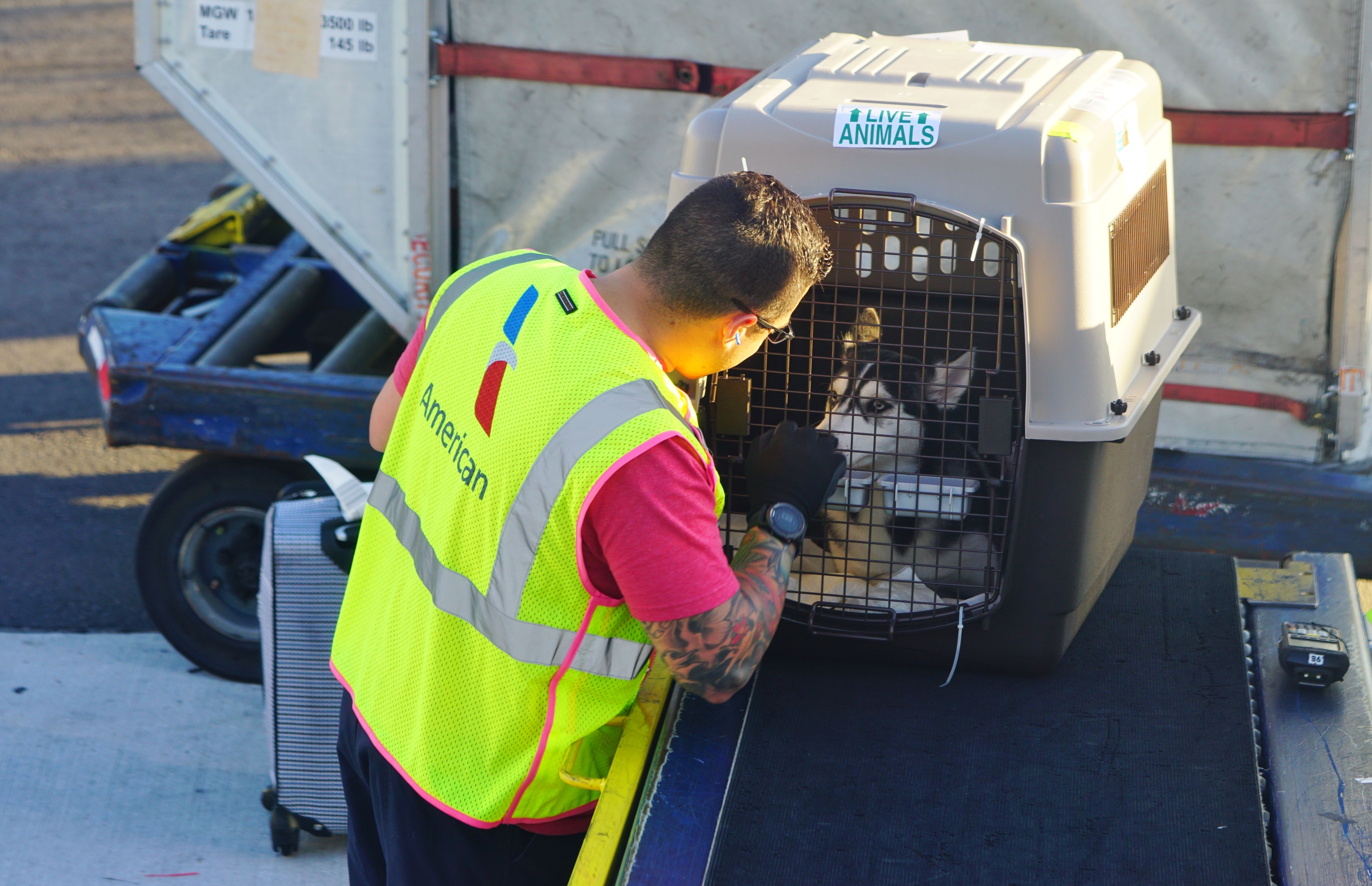 american airlines baggage handler 