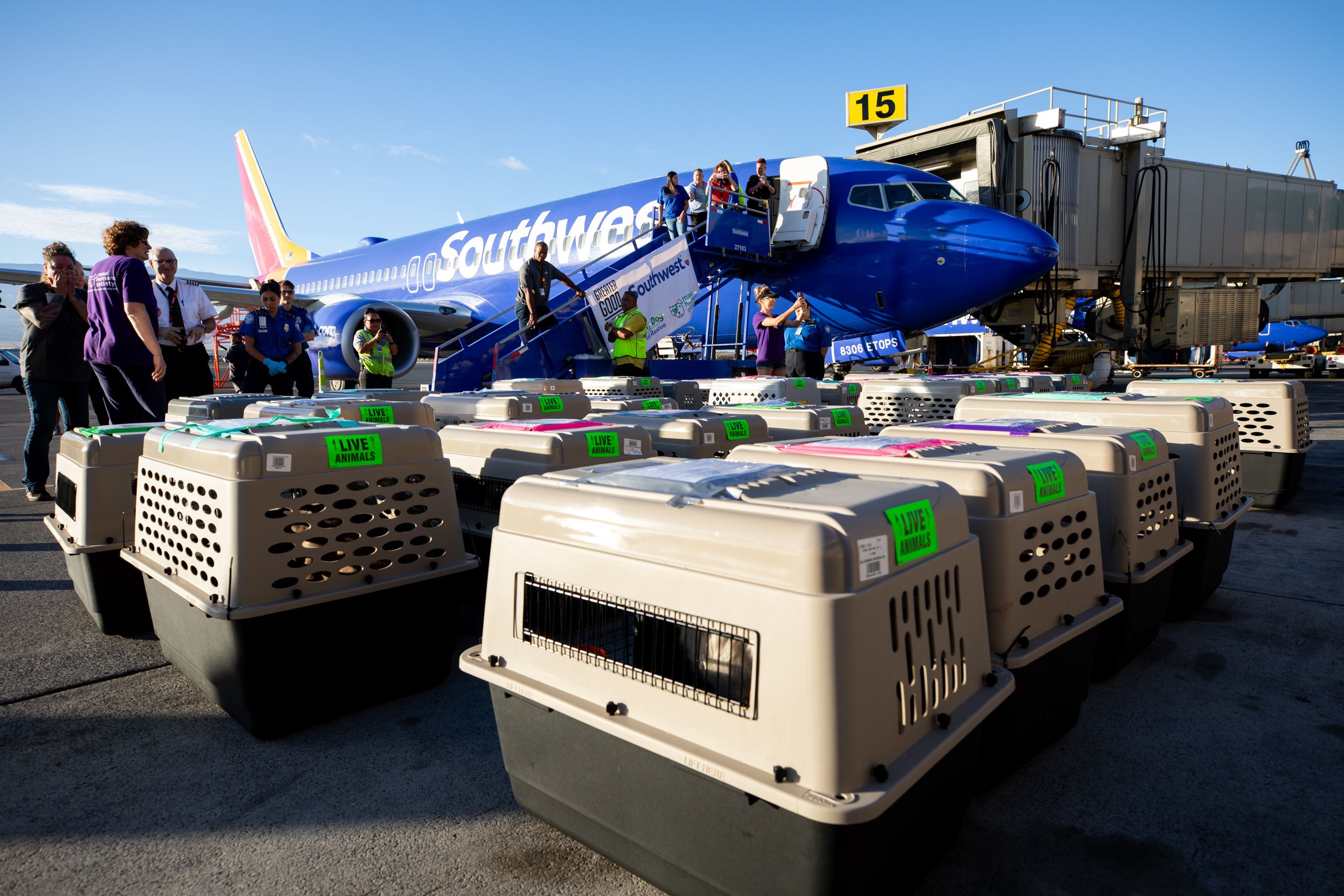 Southwest Partners with Greater Good Charities and Lucky Dog Animal Rescue to Transport More Than 130 Shelter Animals from Maui