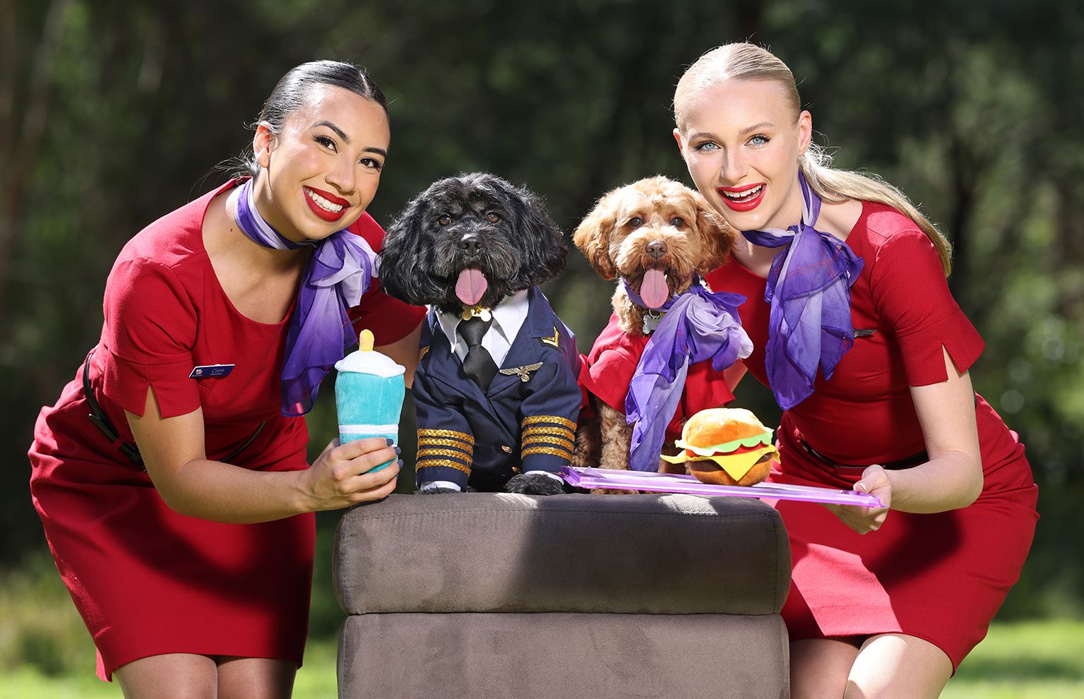 Virgin Australia to bring pets on board