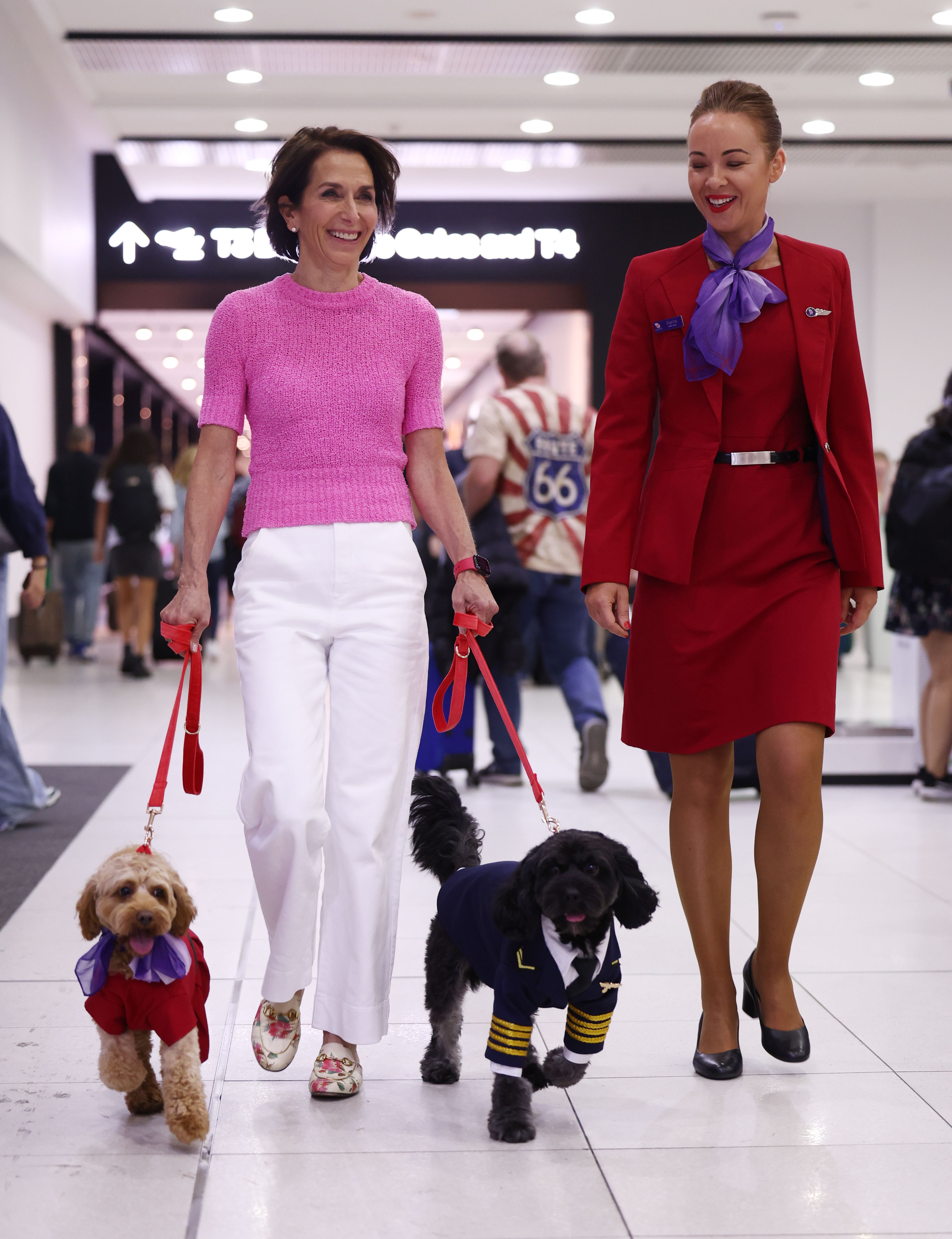 Cutest Arrivals Ever: Pets Coming October 27 - hg1umis