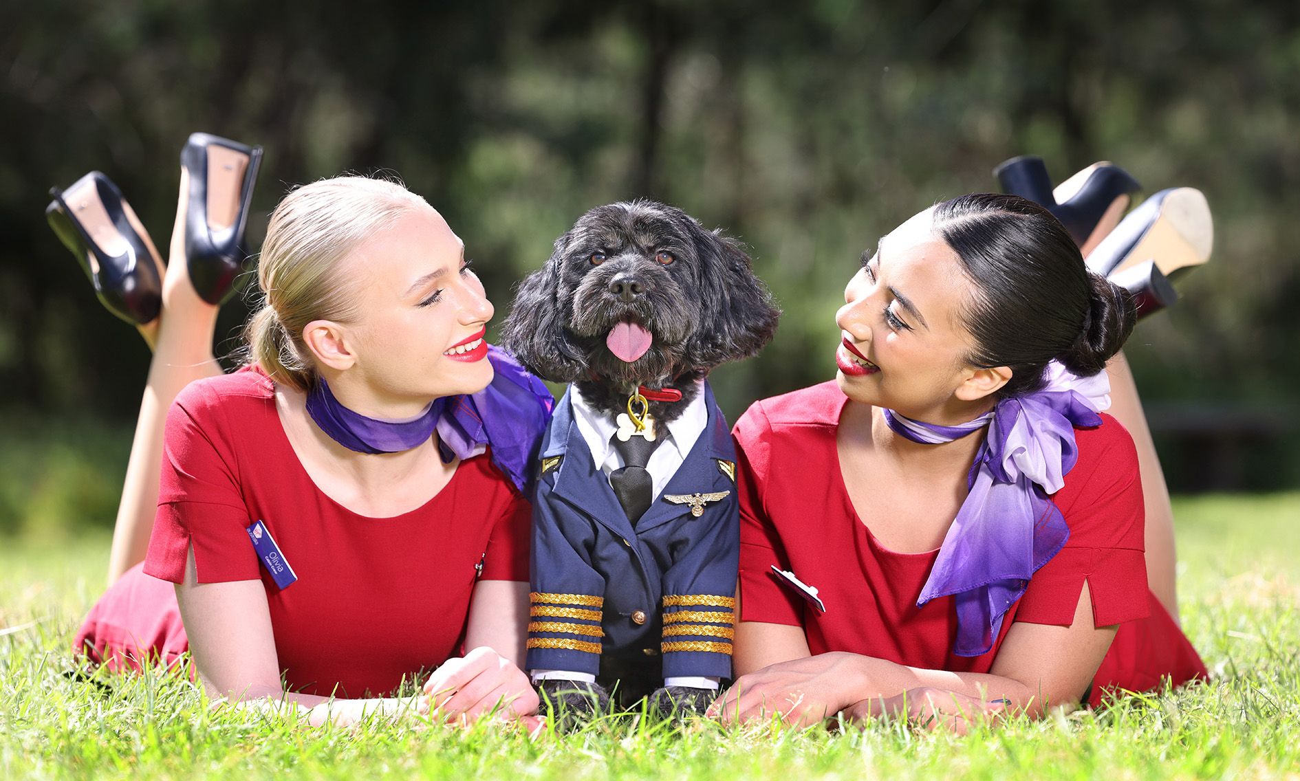 Virgin Australia in-flight pets 5