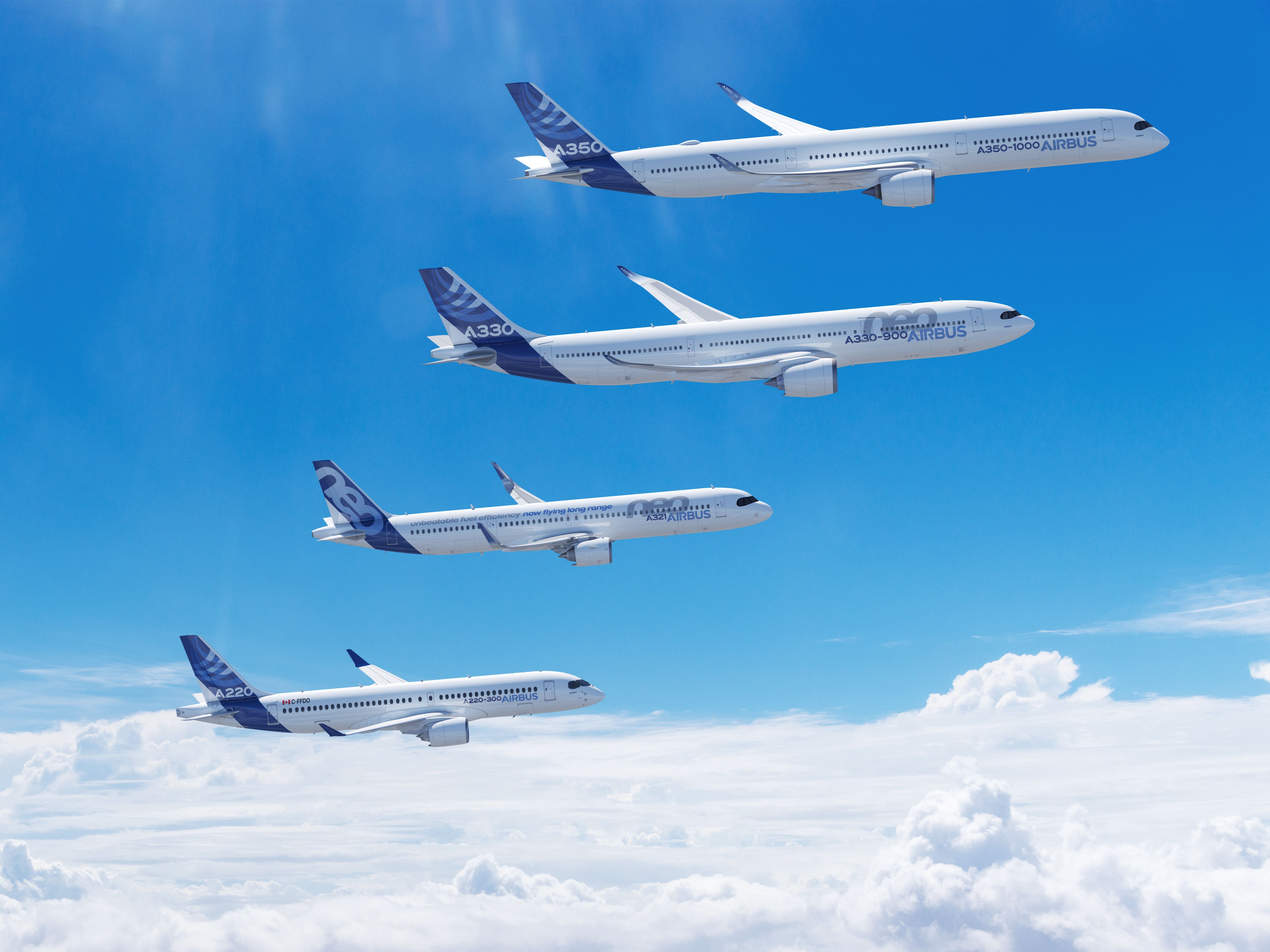 Airbus Family in flight