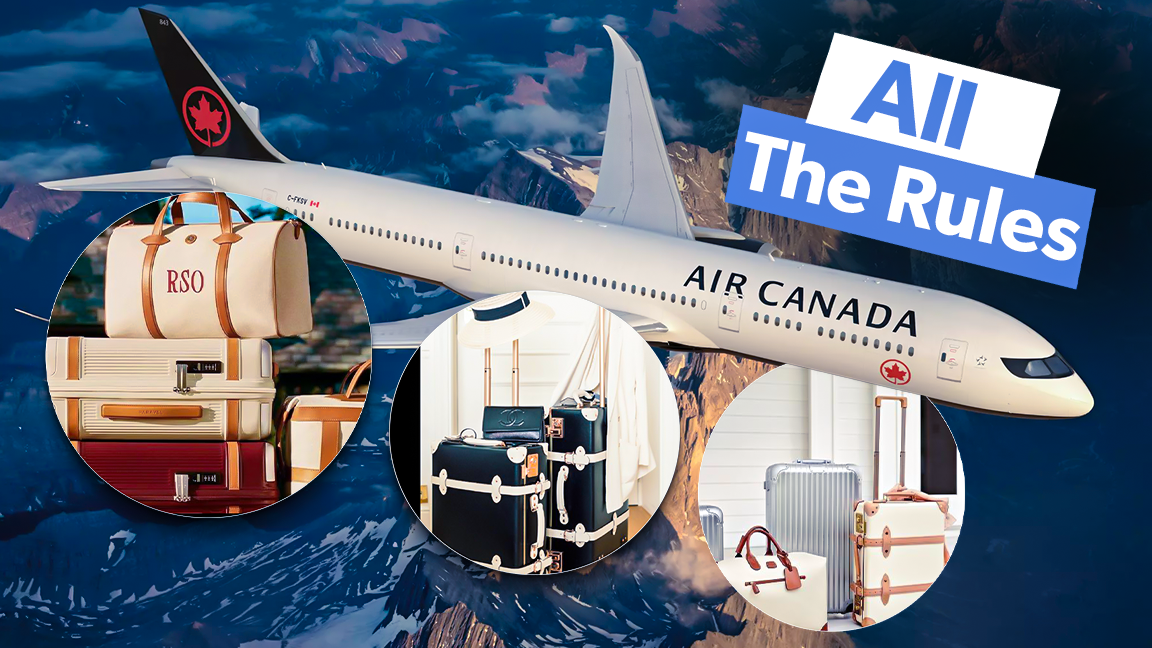 Air canada domestic flight checked baggage online