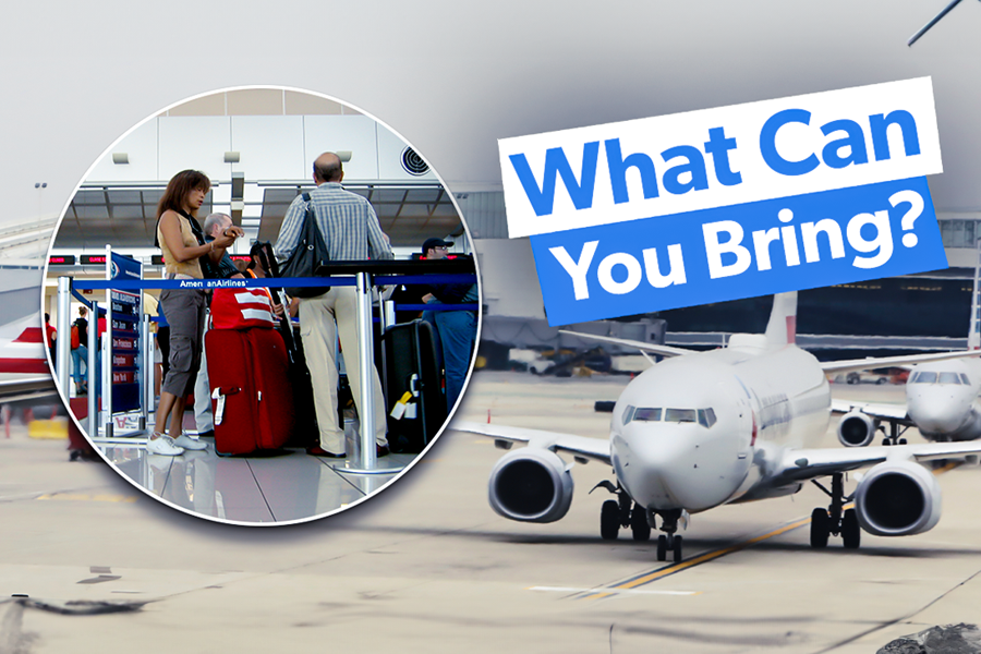 American Airlines economy baggage guide.