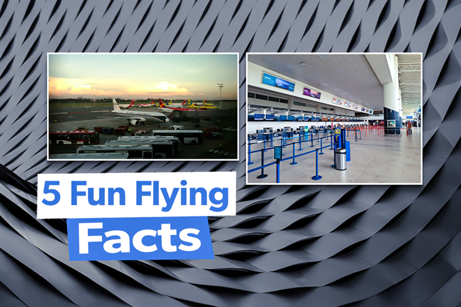 Fun Flying Facts Custom Thumbnail