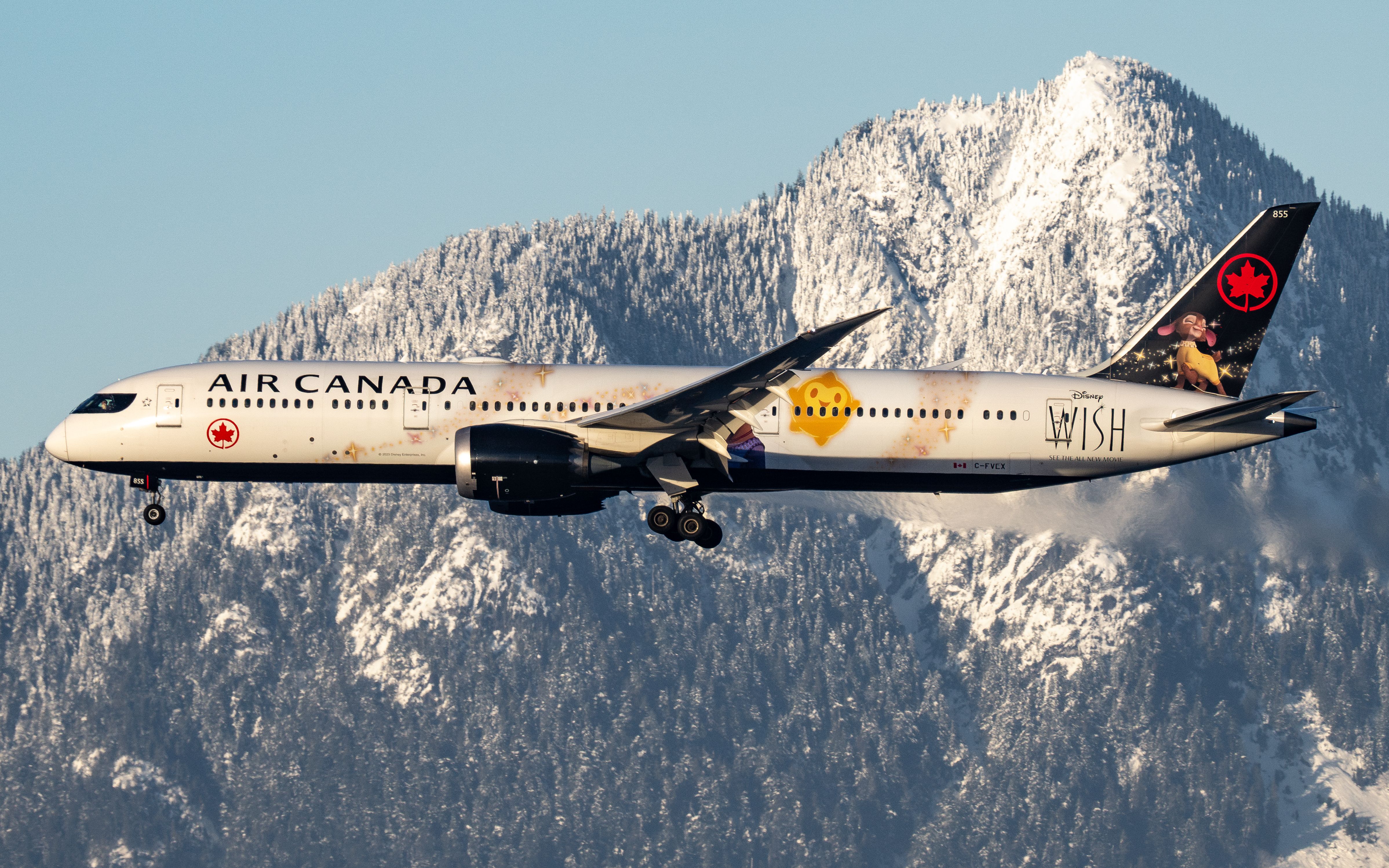 An Air Canada Boeing 787 with mountains behind.