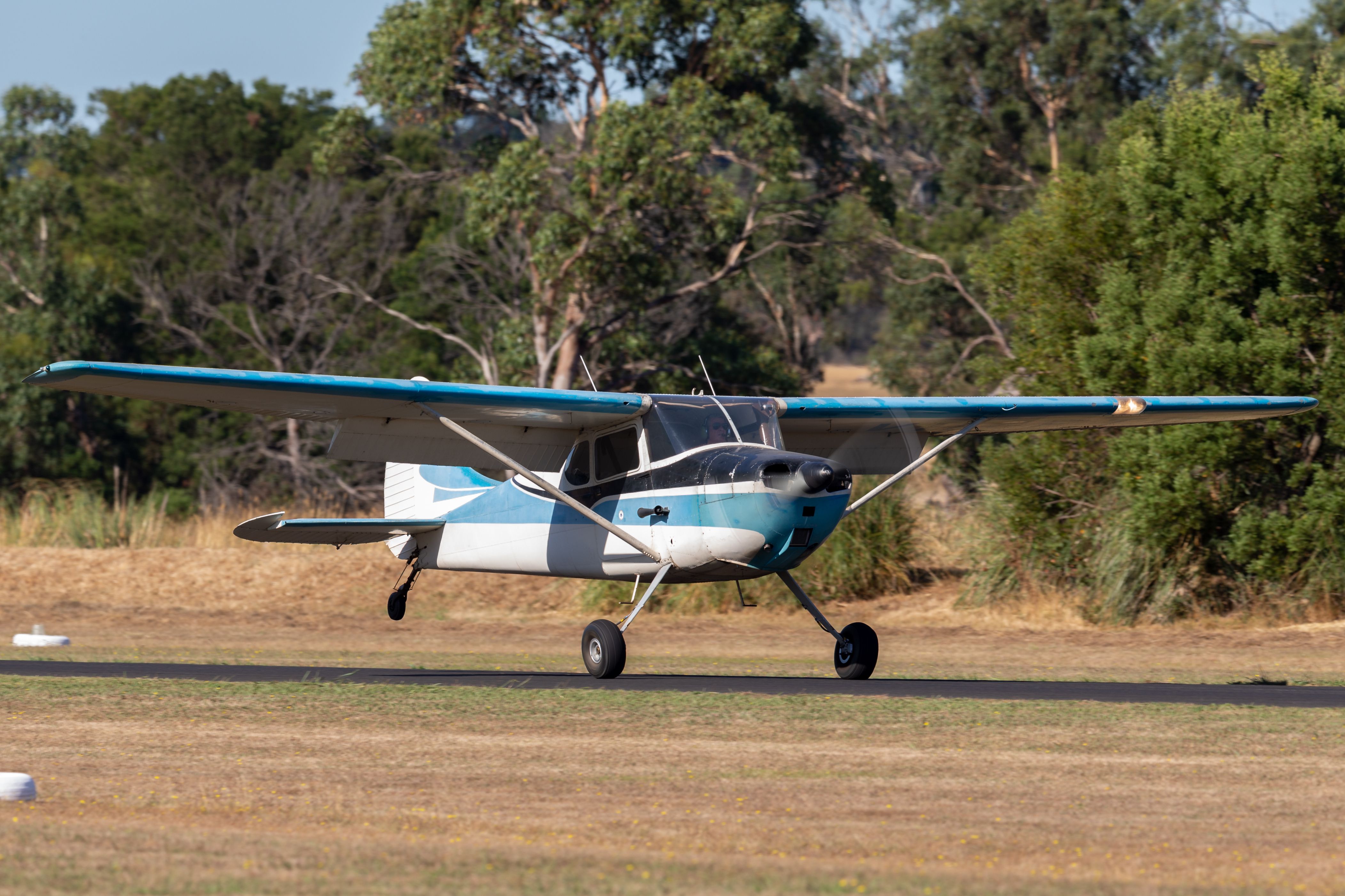 A Cessna 170 in a field.