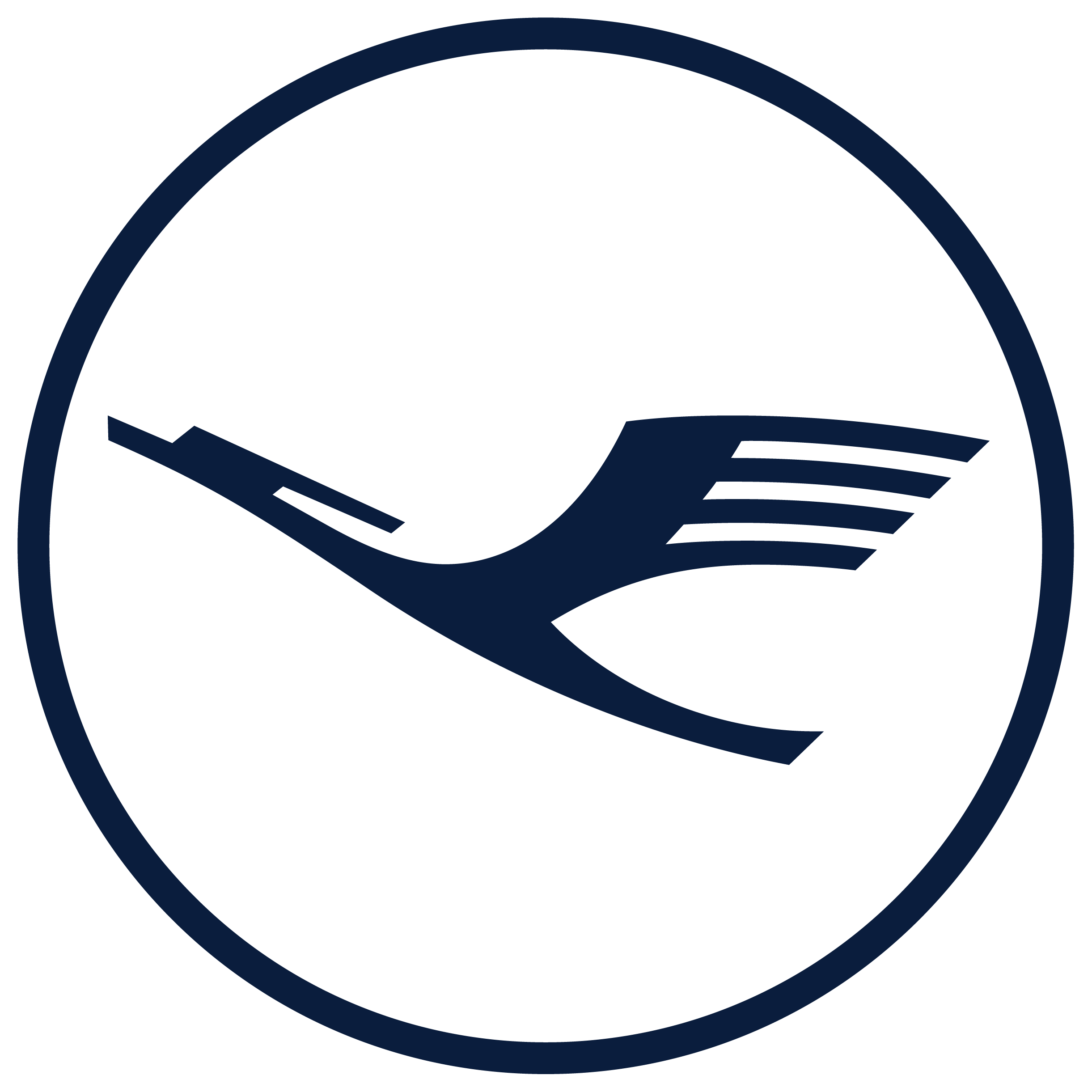 Lufthansa Icon