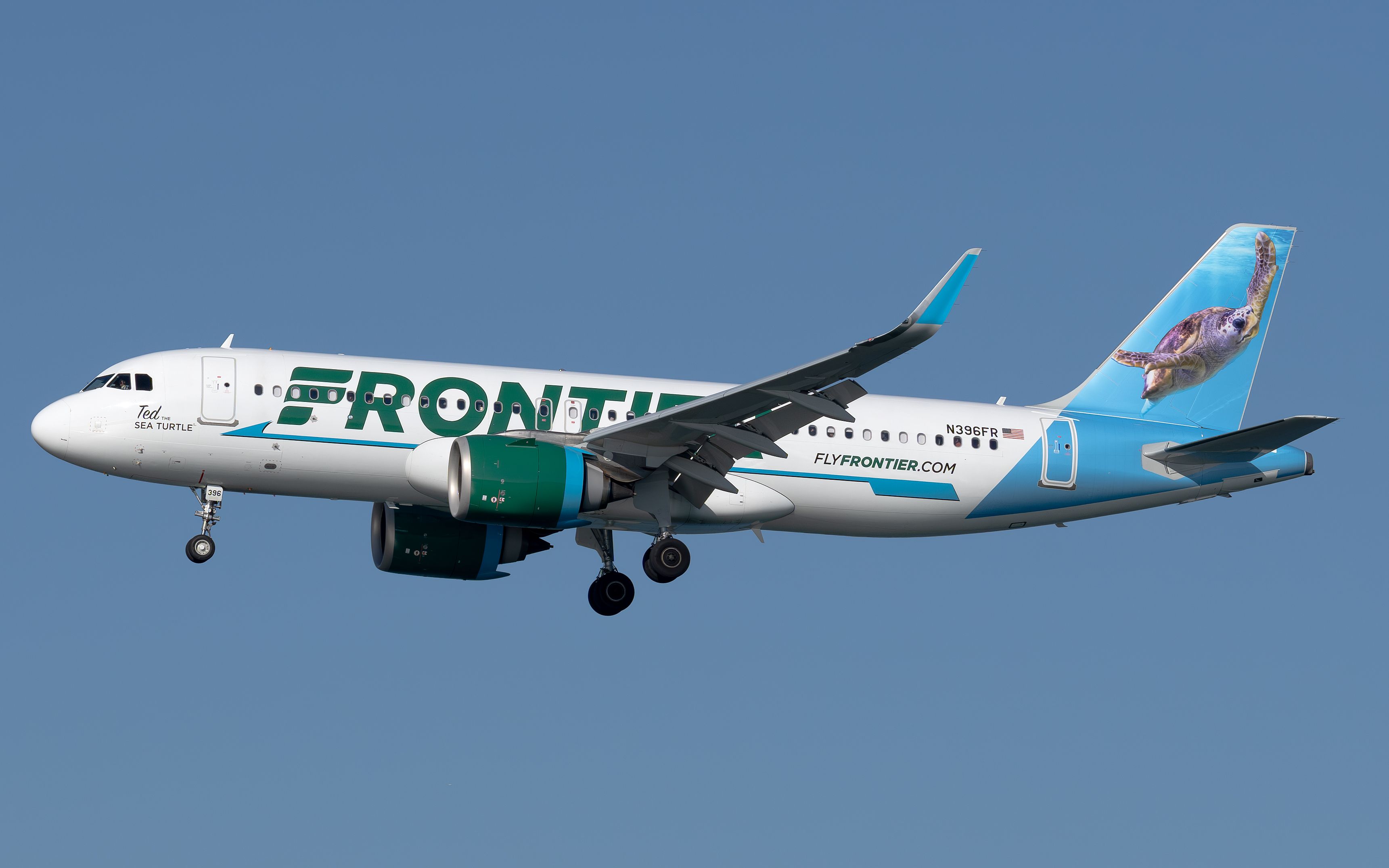 N396FR Frontier (Ted the Sea Turtle Livery) Airbus A320-251N (1)