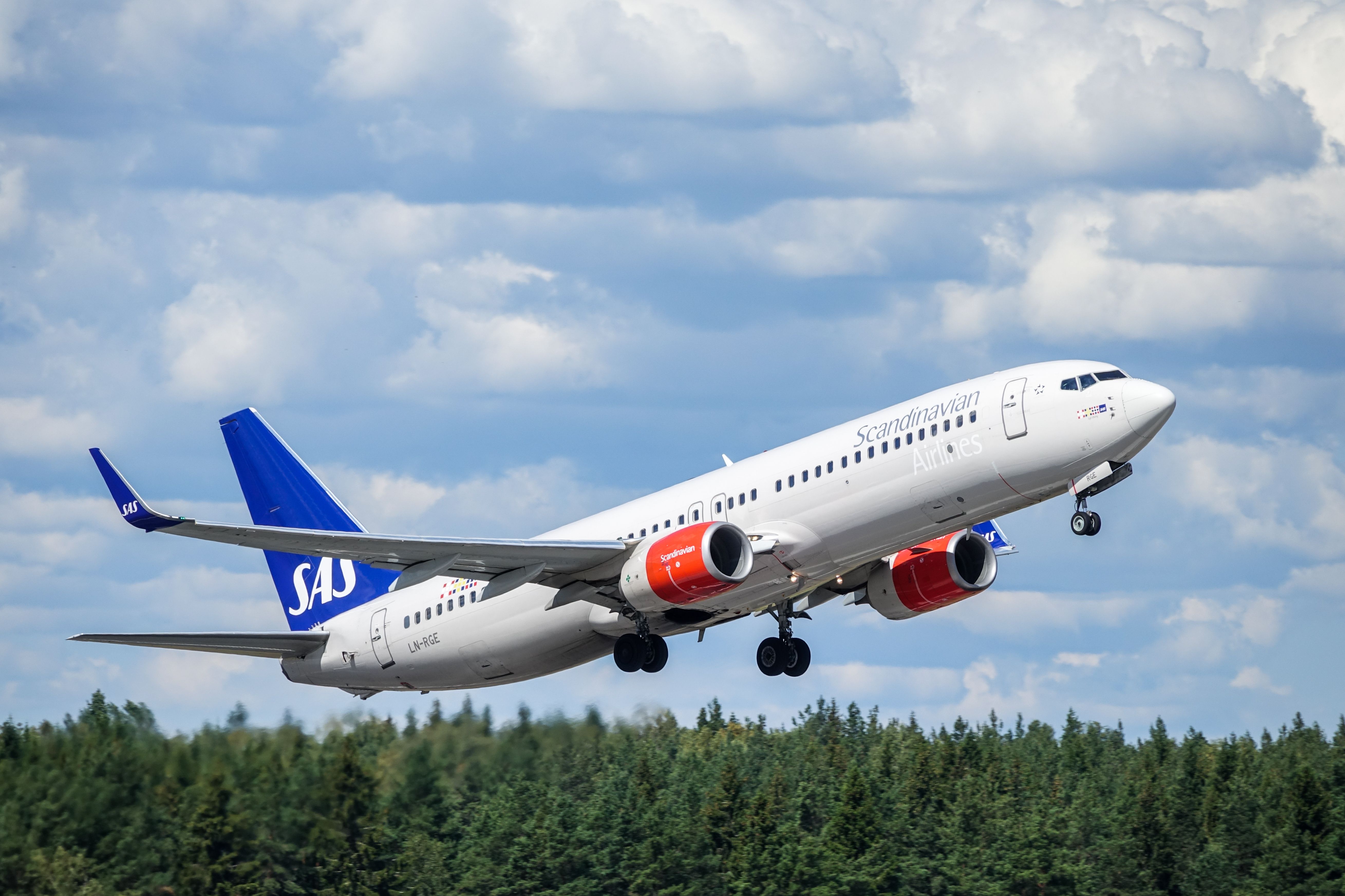  SAS Scandinavian Airlines, Boeing 737 - 800 taking off over the trees at Stockholm Arlanda Airport