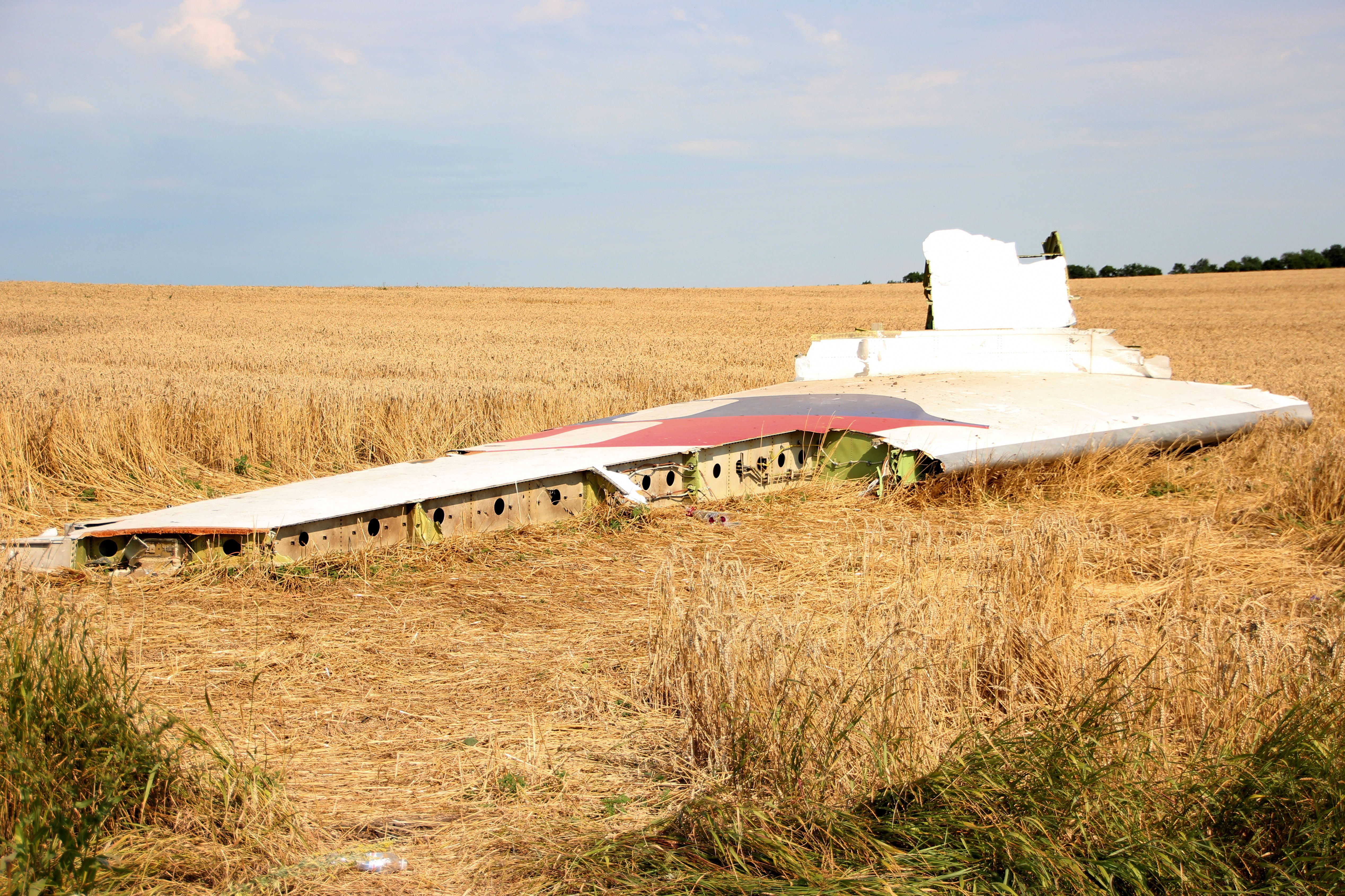 Fragments of the Malaysia Airlines Boeing 777 from Flight MH17 sitting in a field.