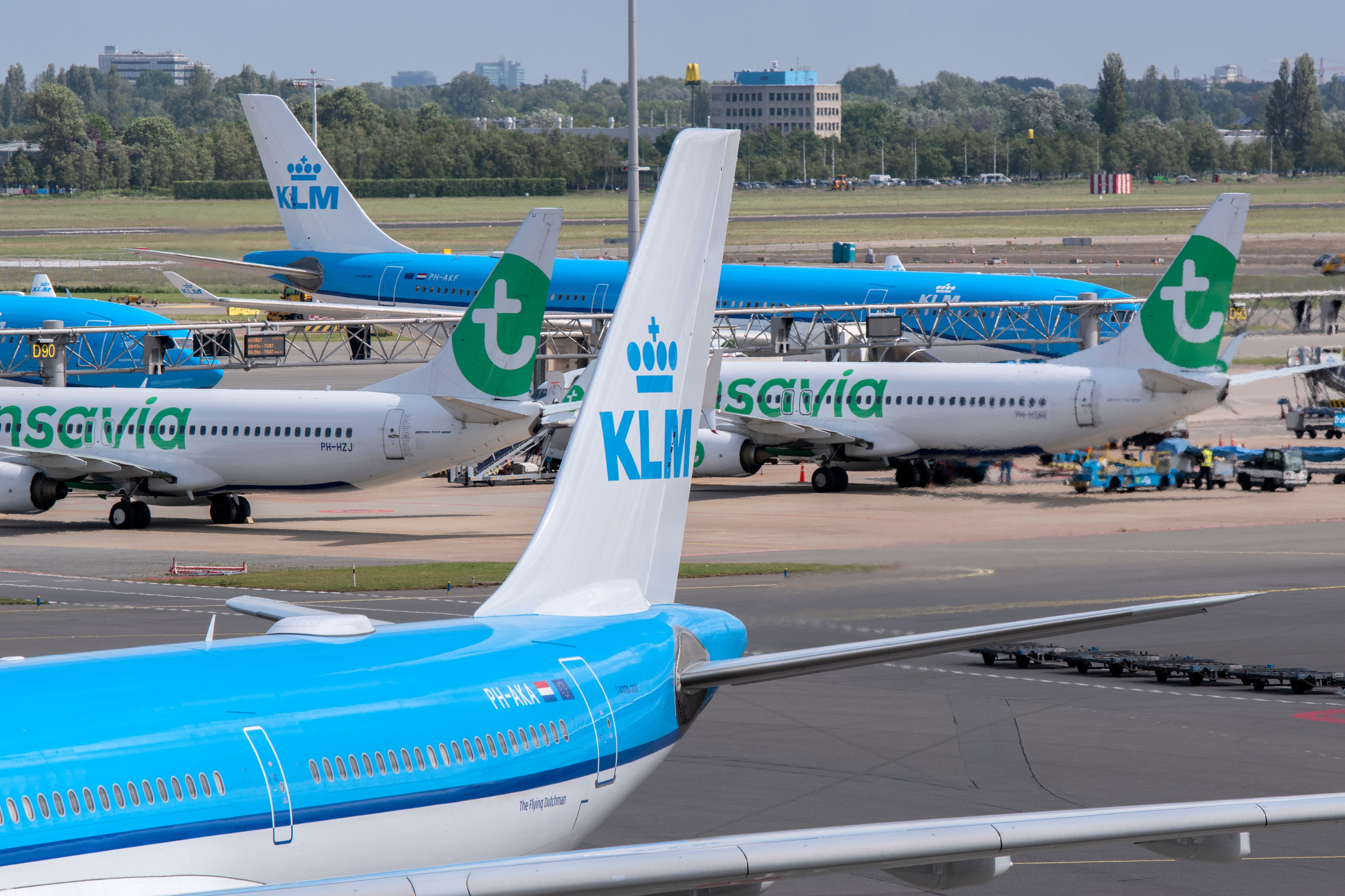 KLM and Transavia aircraft parked in Amsterdam.