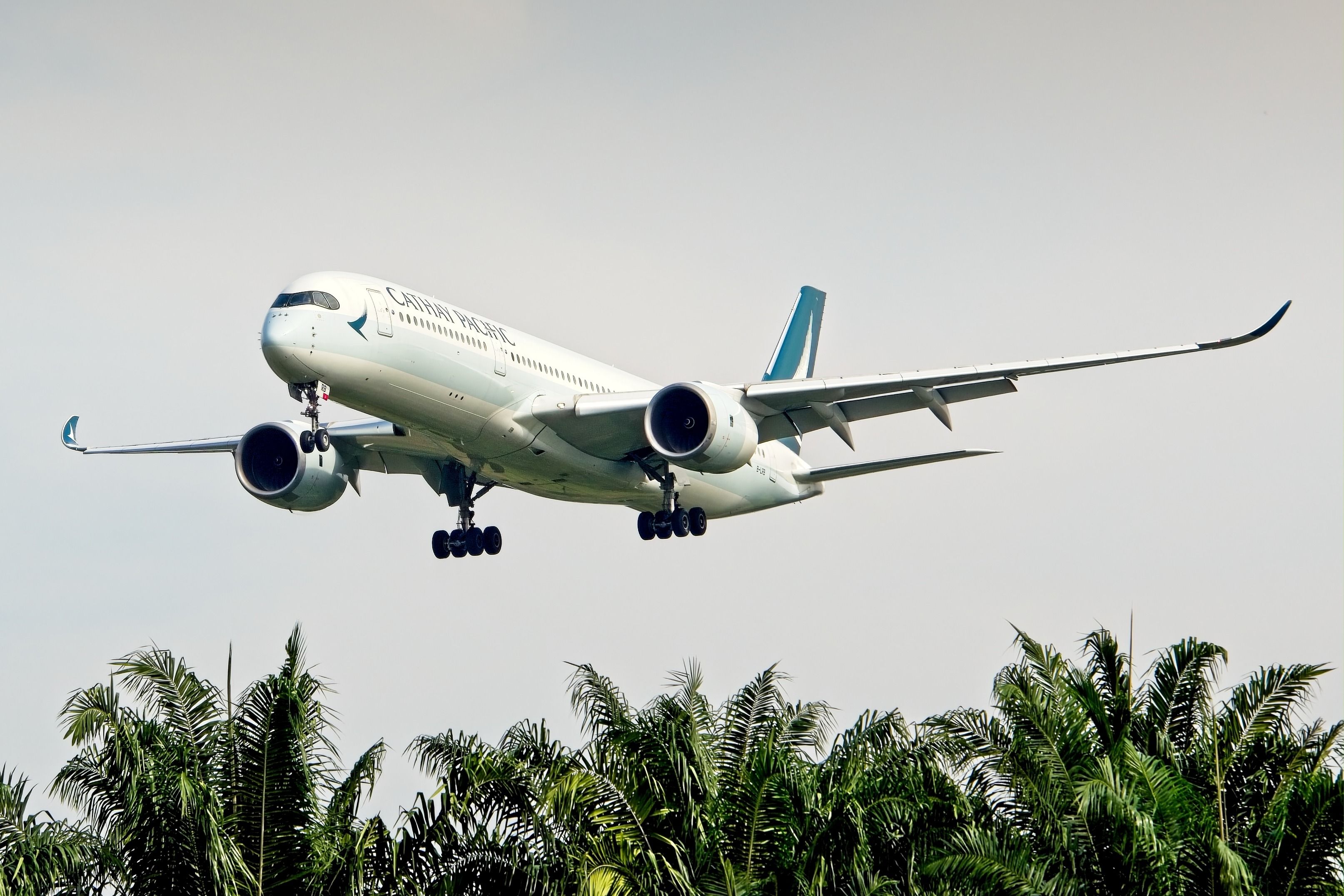 A Cathay Pacific Airbus A350 landing
