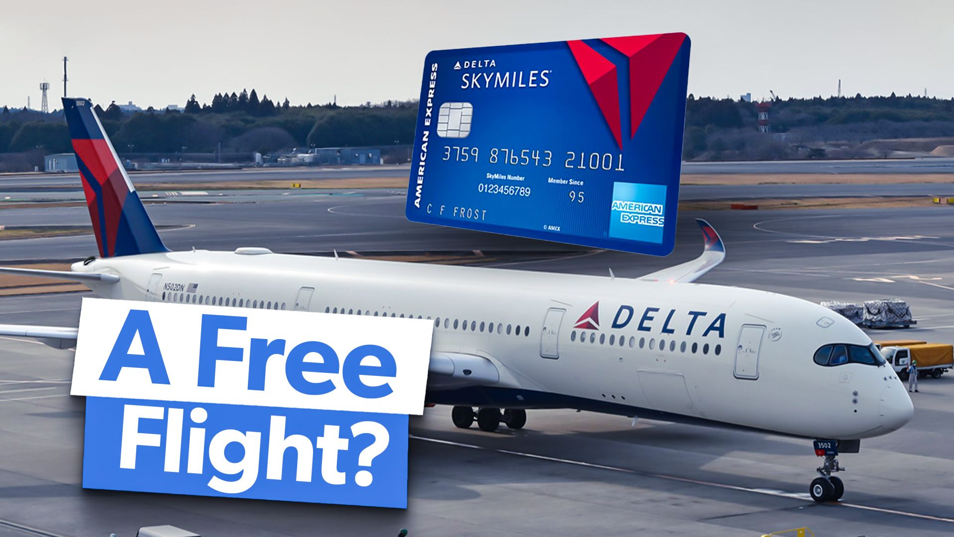 Delta SkyMiles Free Flight Custom Thumbnail
