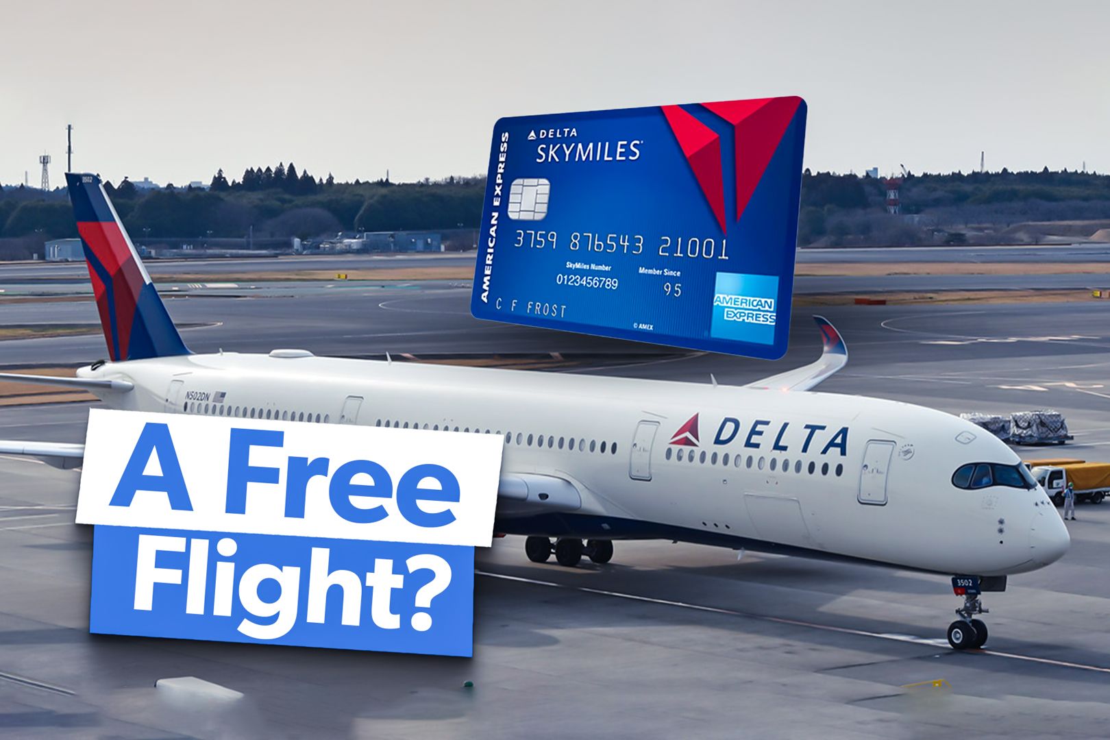 Delta SkyMiles Free Flight Custom Thumbnail