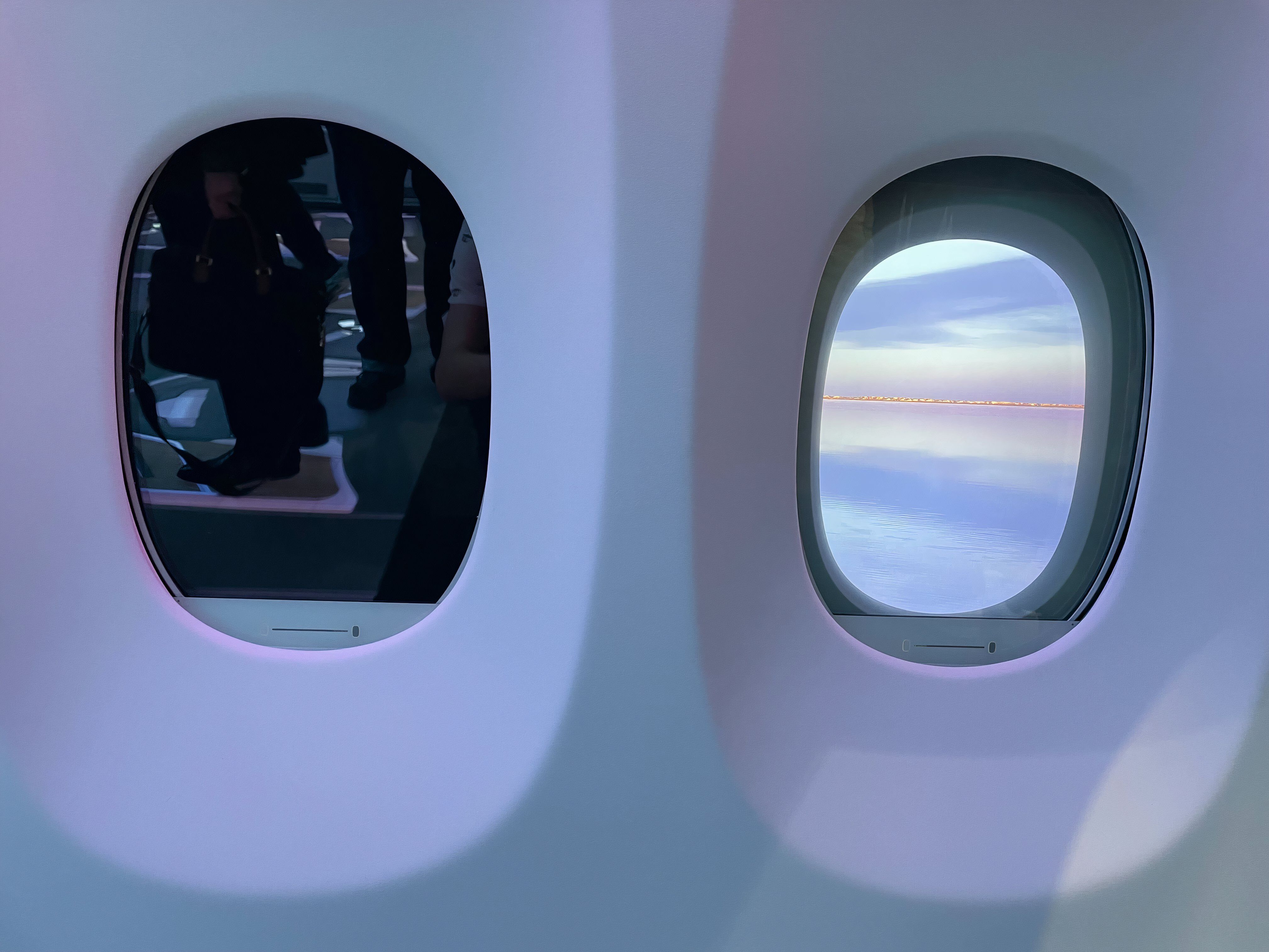 Airbus A330neo dimmable windows