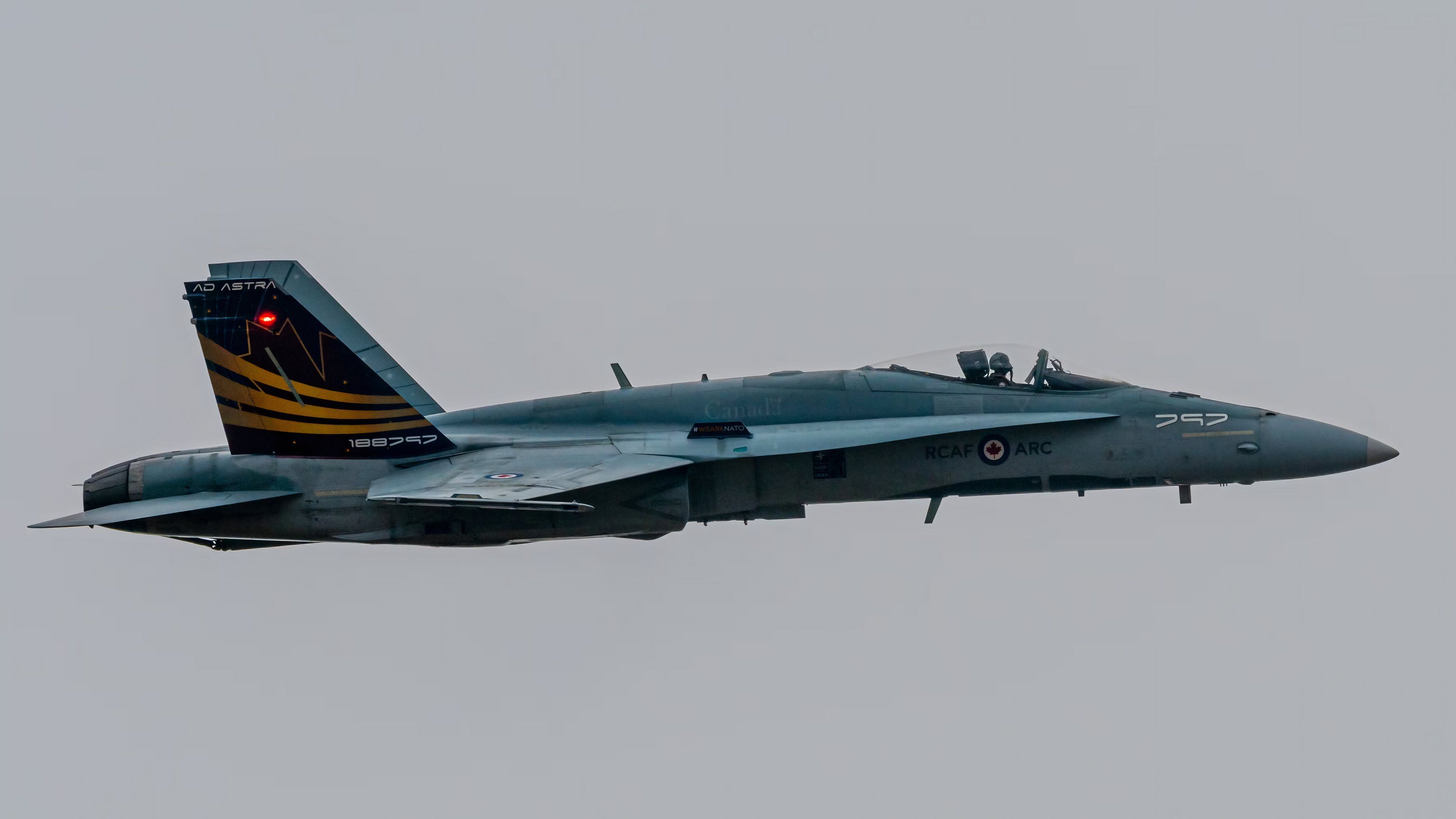 sf_rcaf-2019-cf-18-demo-jet-against-overcast_jak