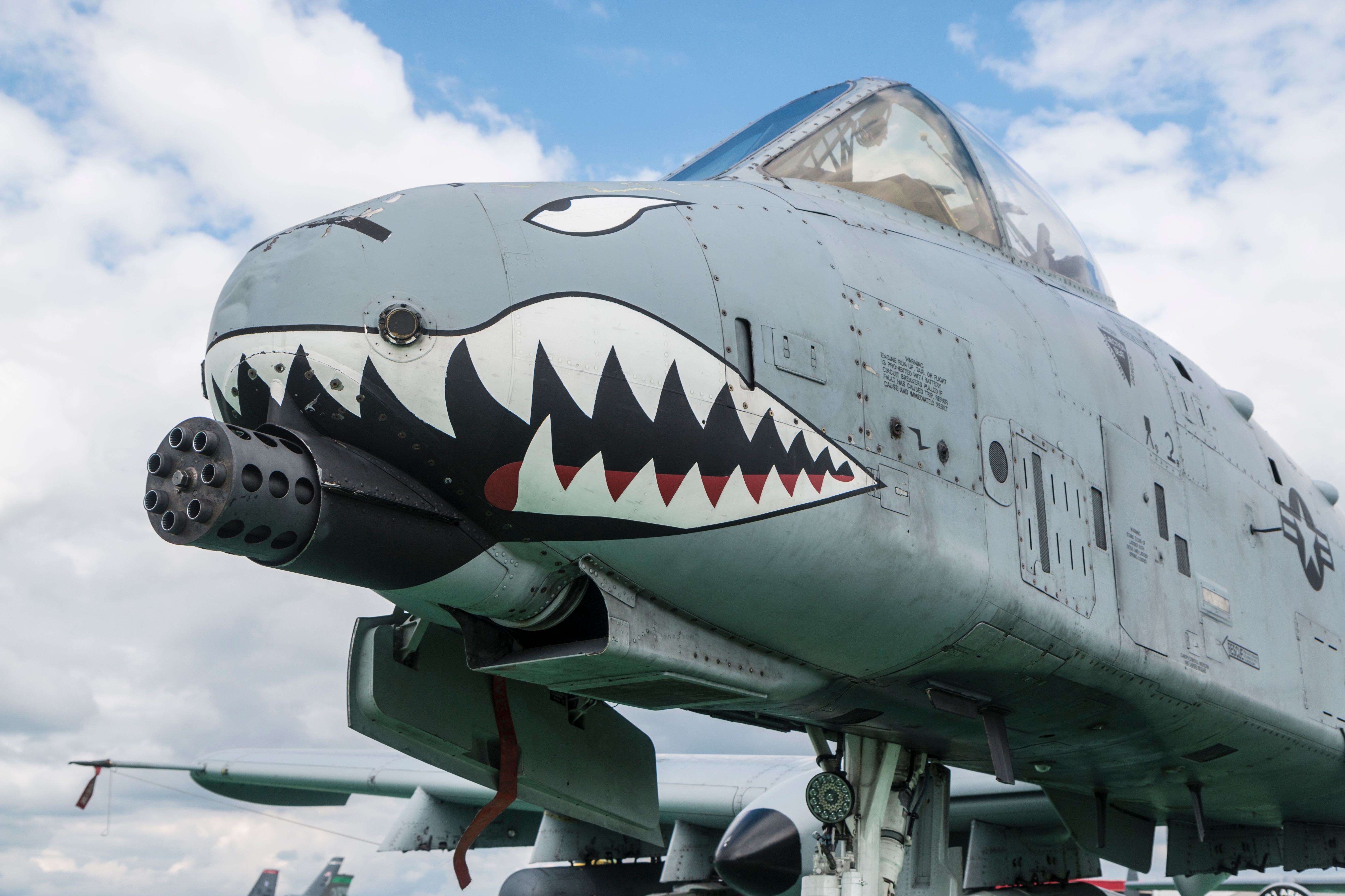 A-10 warthog with nose art