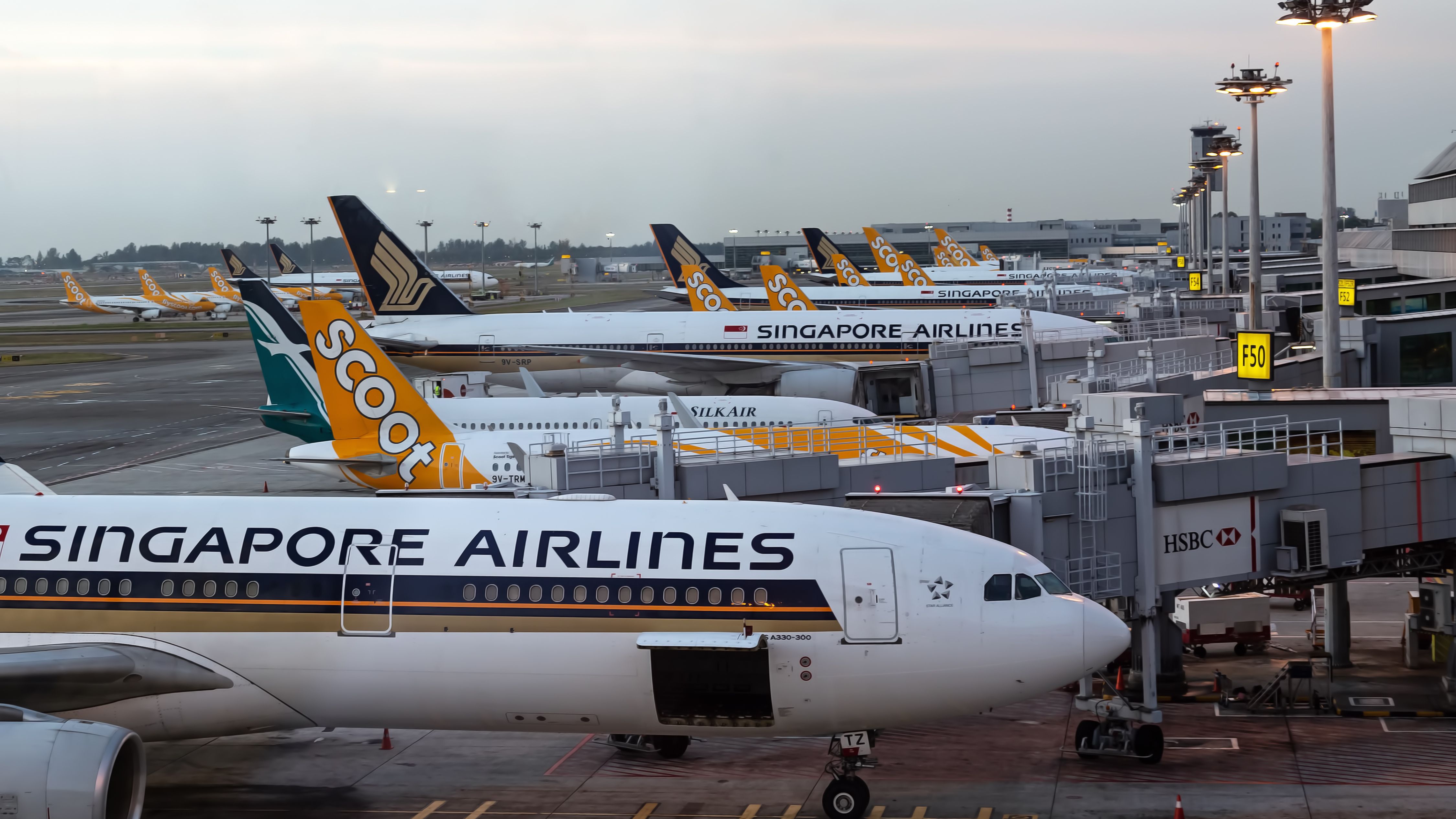 singapore airlines and scoot planes